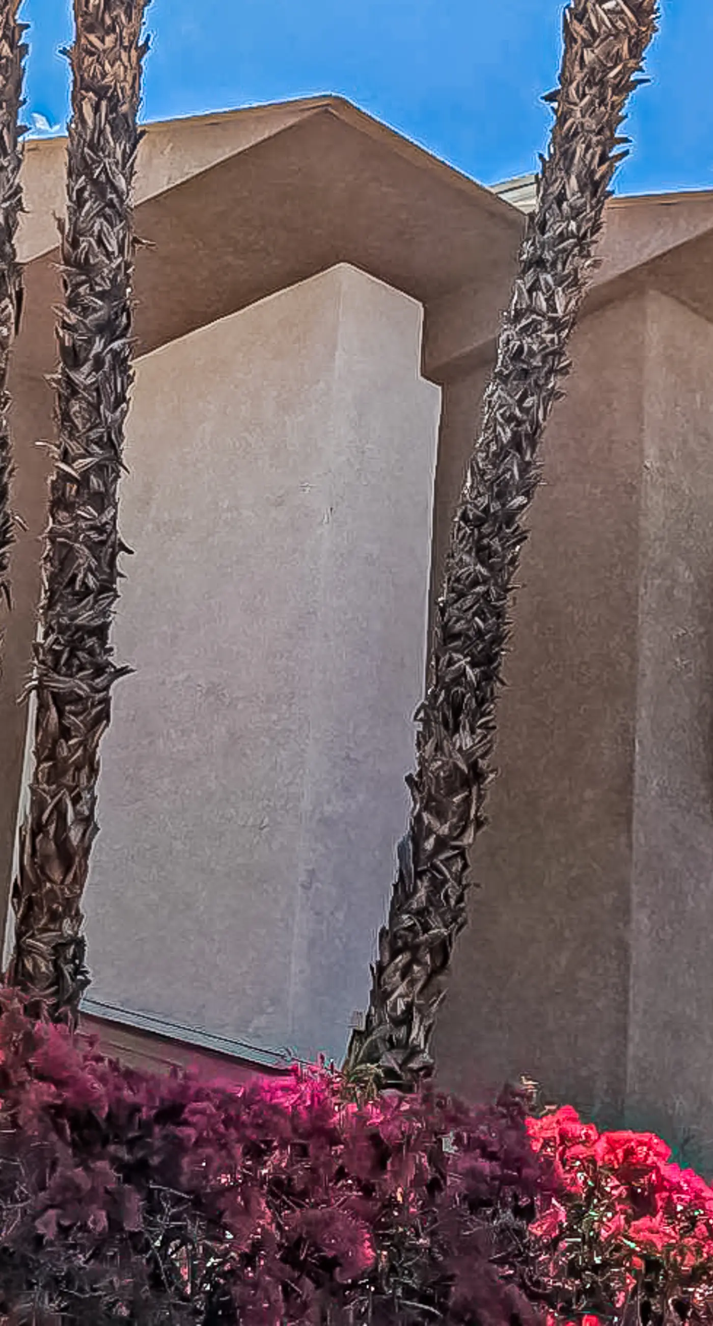 Mountains & Palms #60164