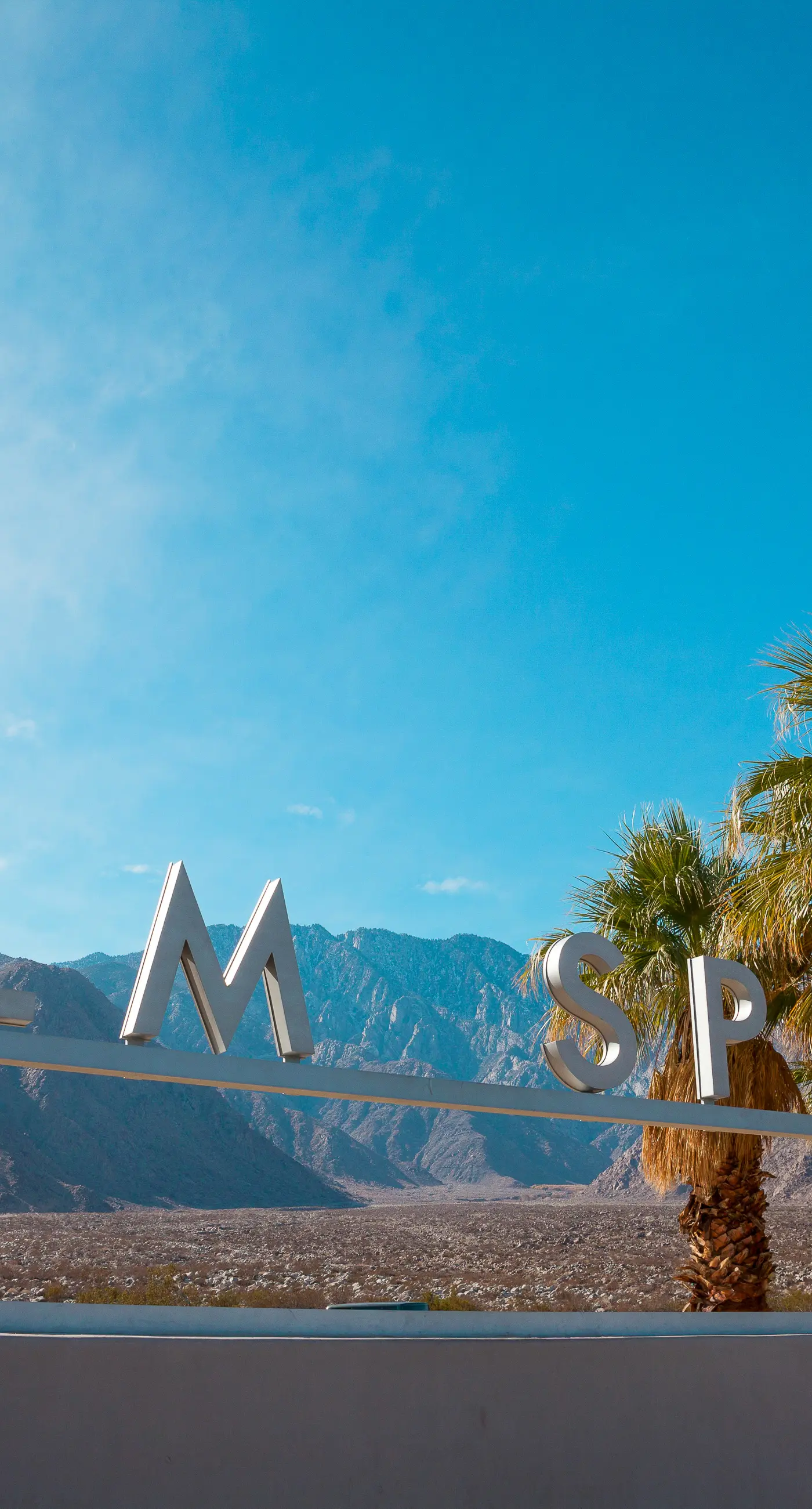 Mountains & Palms #60164