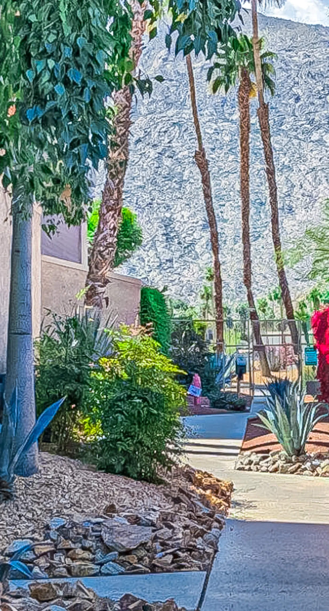 Mountains & Palms #60164