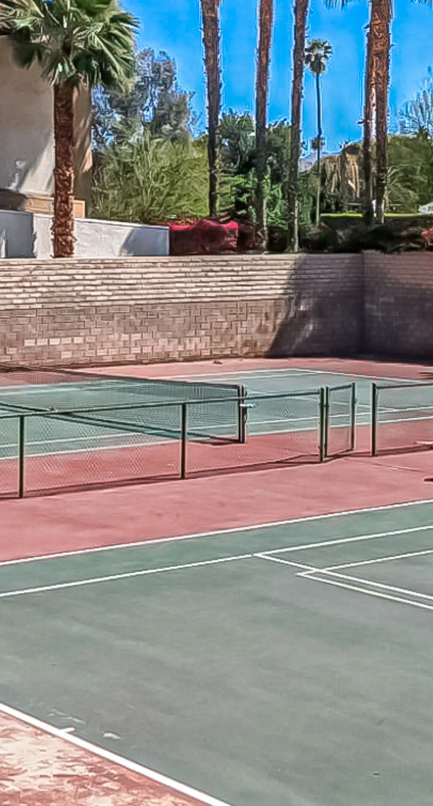 Mountains & Palms #60164