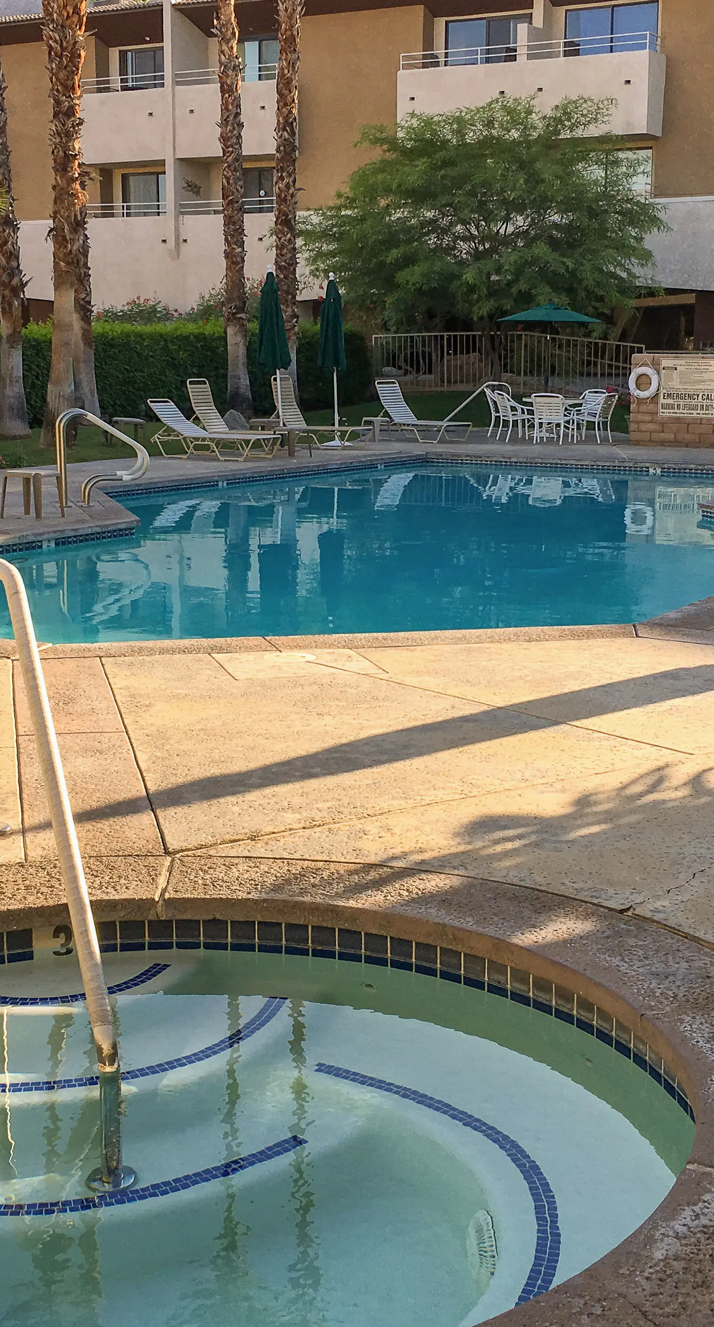 Mountains & Palms #60164