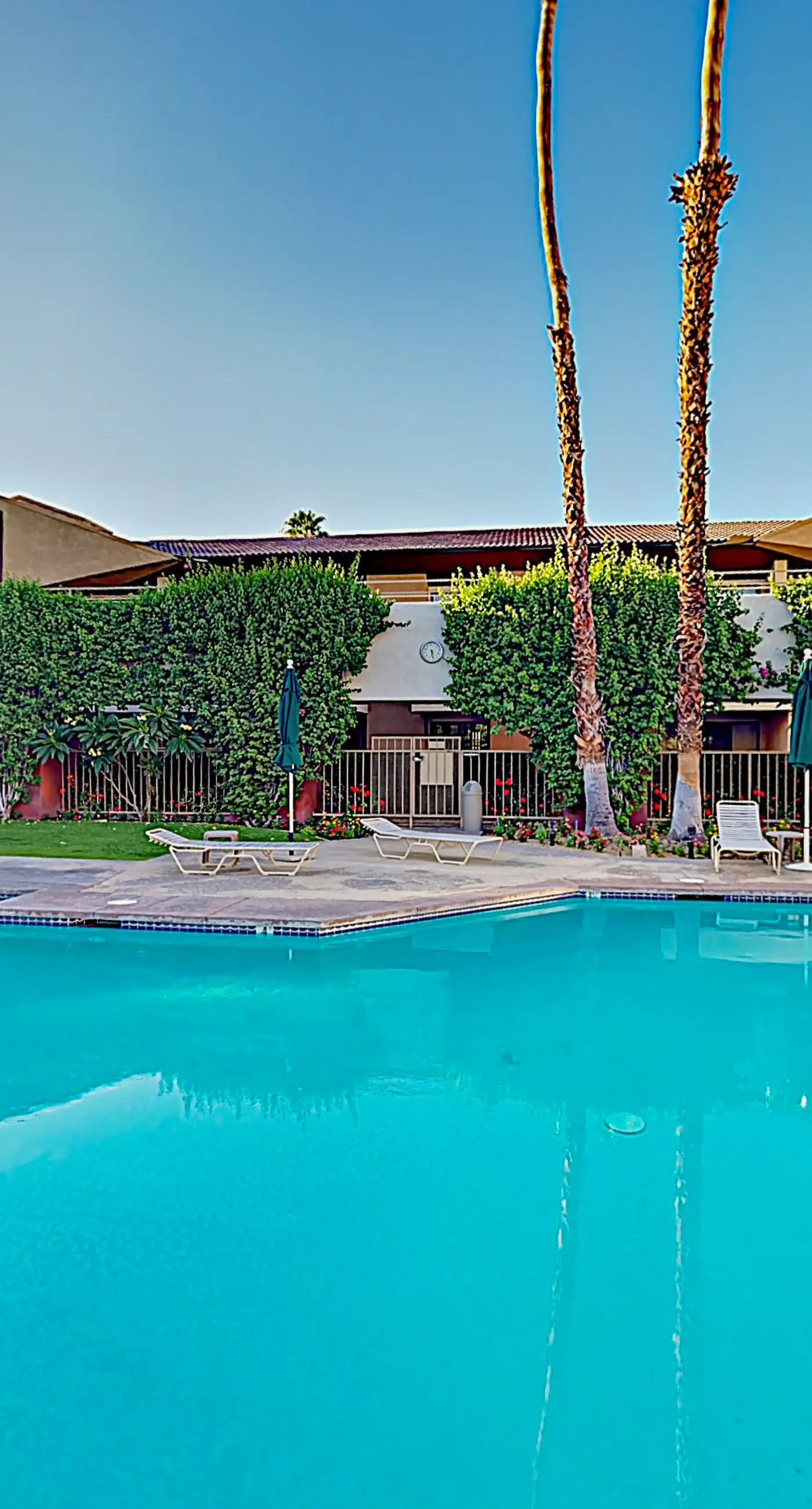 Mountains & Palms #60164