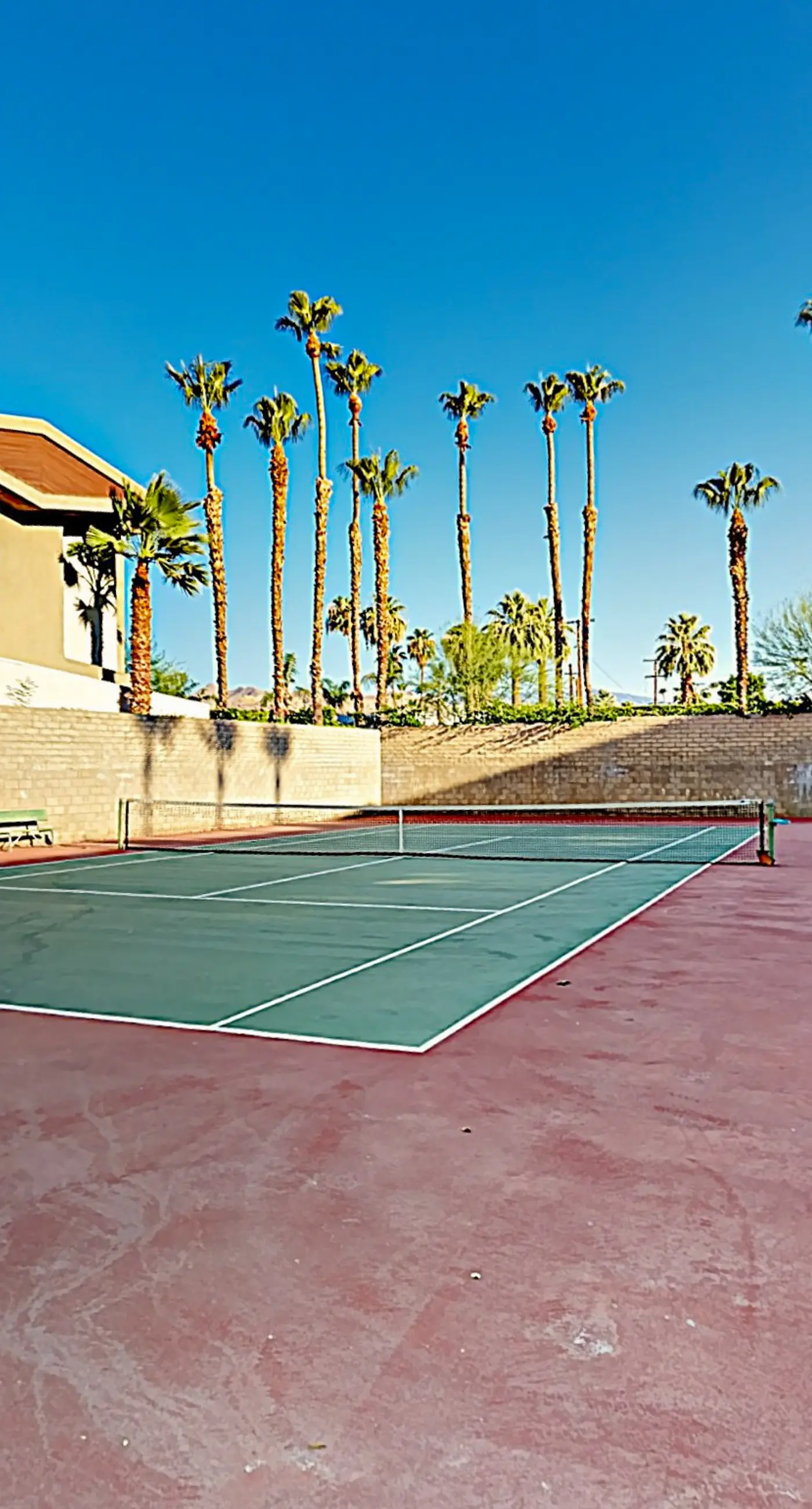 Mountains & Palms #60164