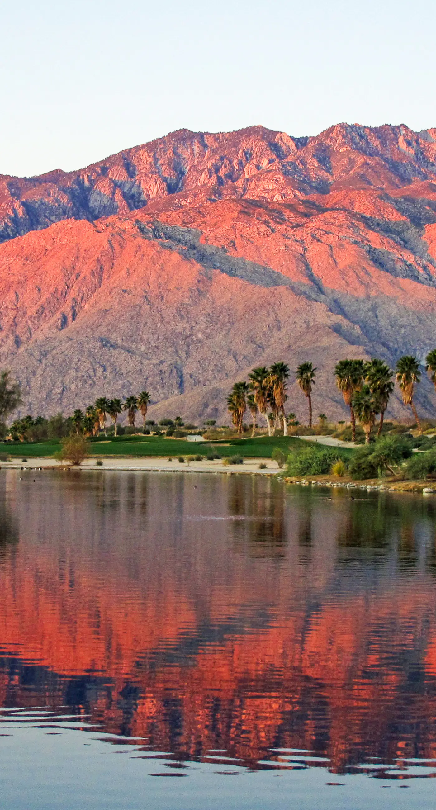 Mountains & Palms #60164