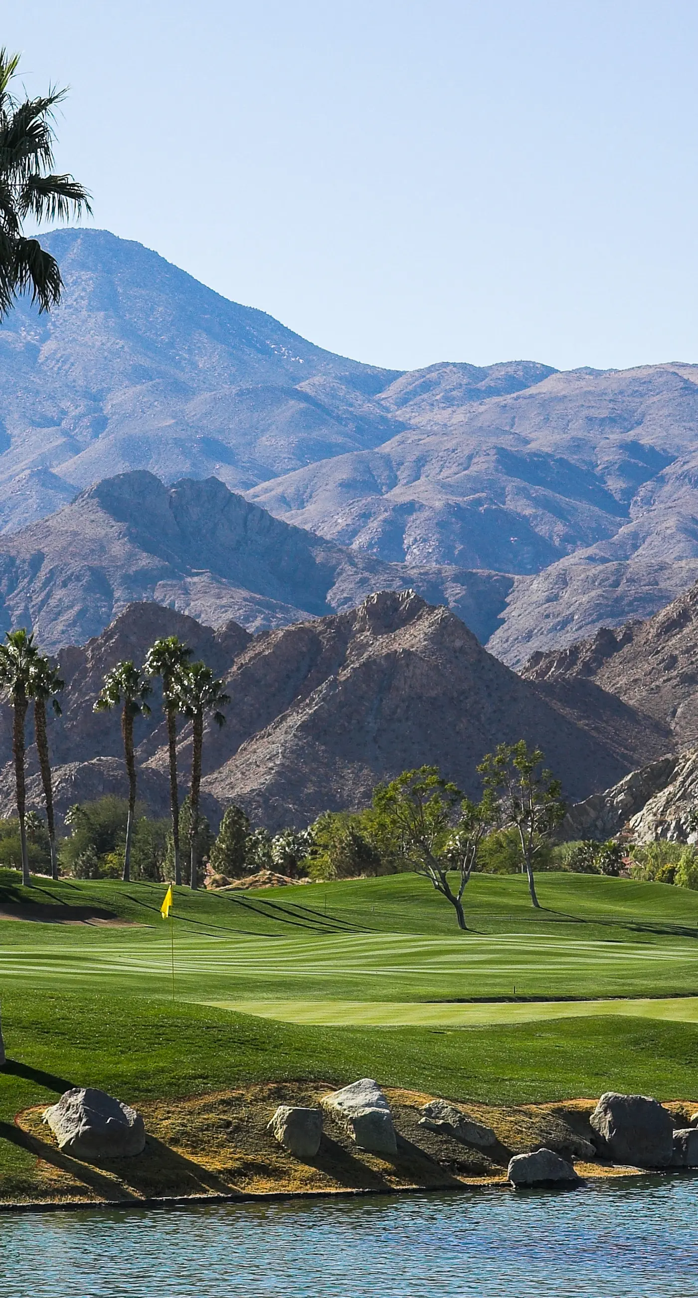 Mountains & Palms #60164