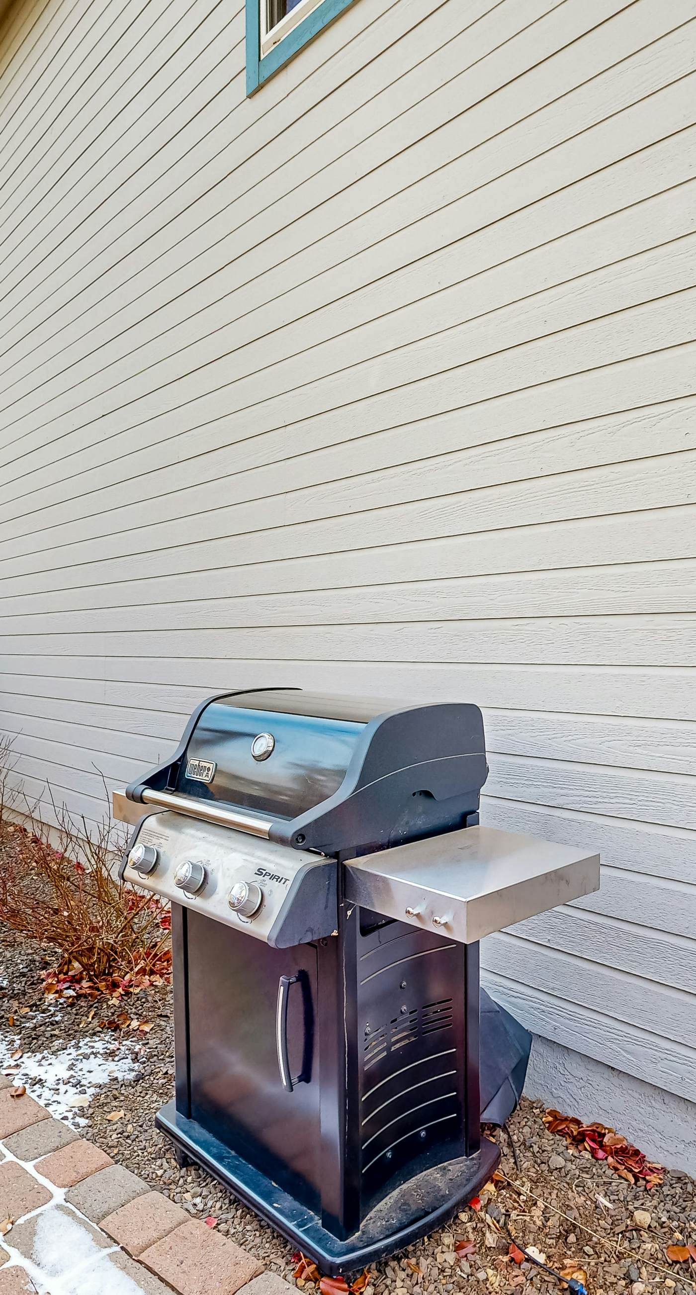 Flagstaff Fantasy - Main House