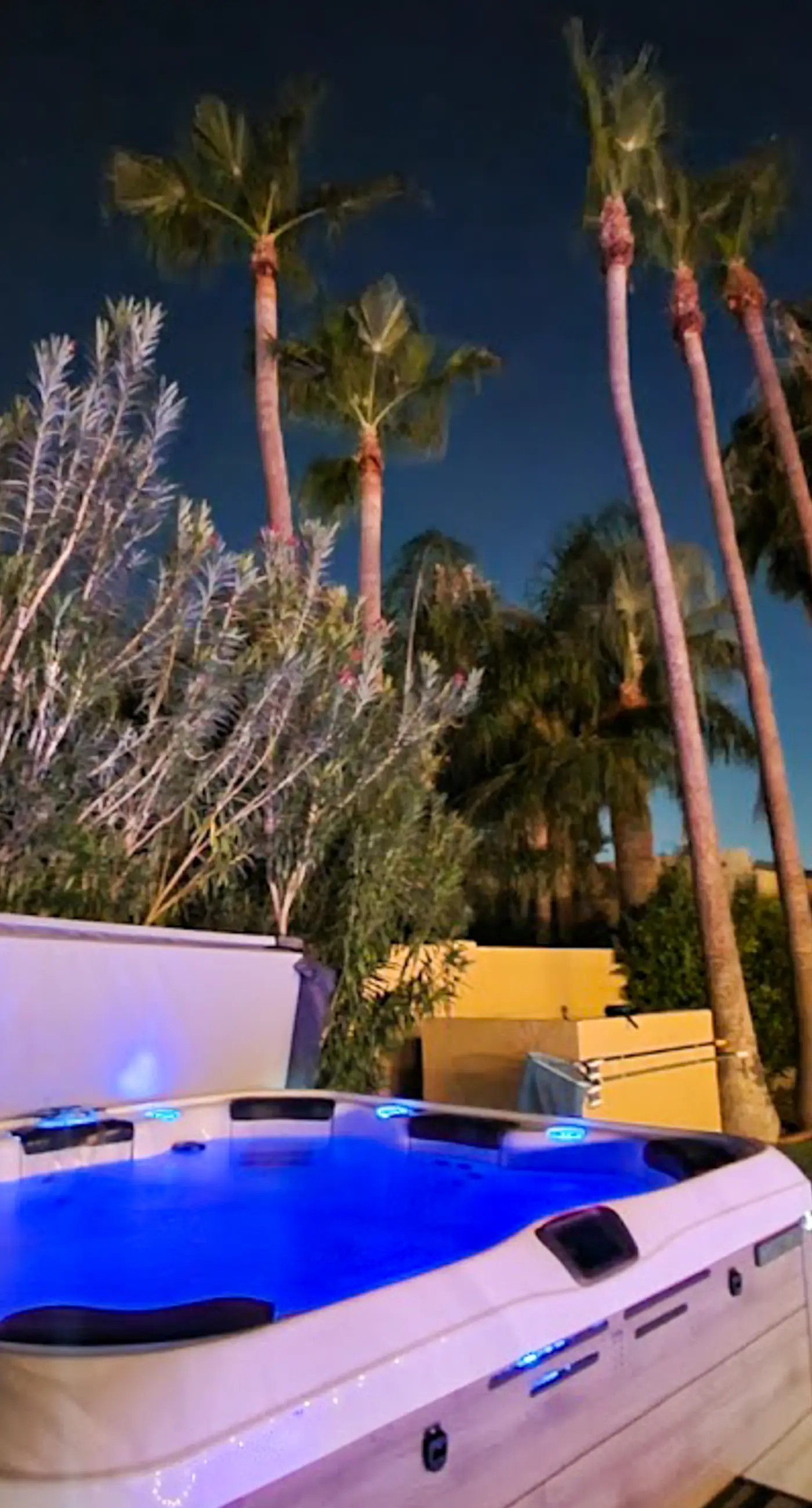 Desert Daydreams