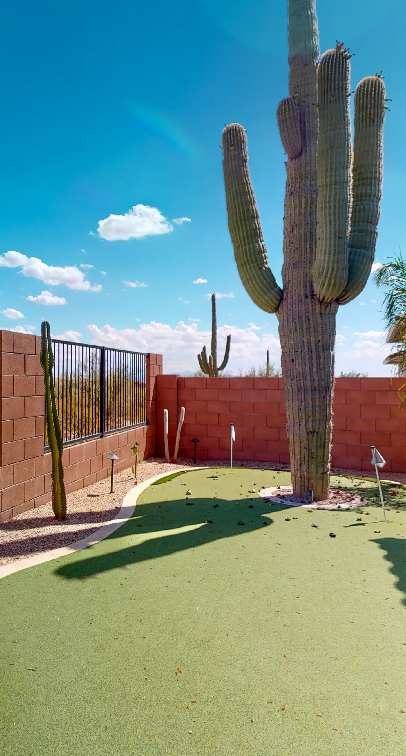 Dove Mountain Dream