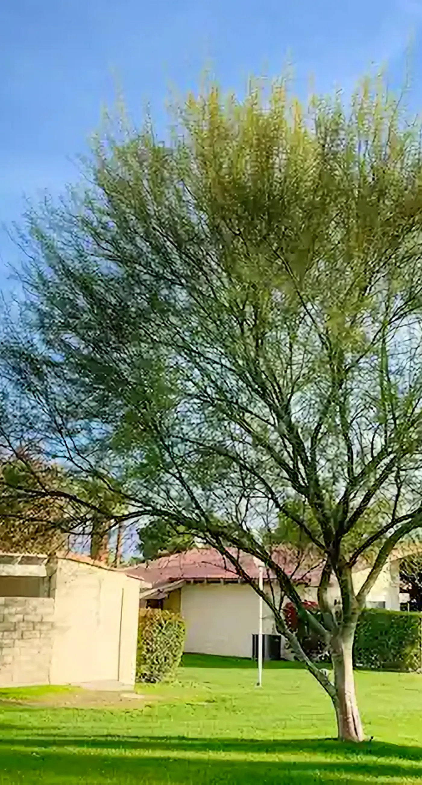 Indio Retreat