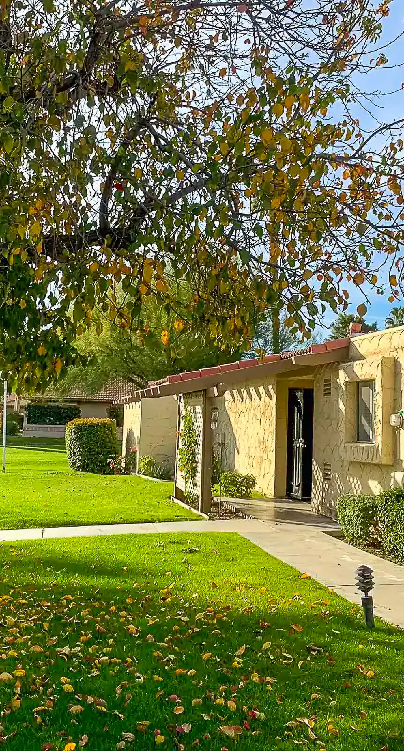 Indio Retreat