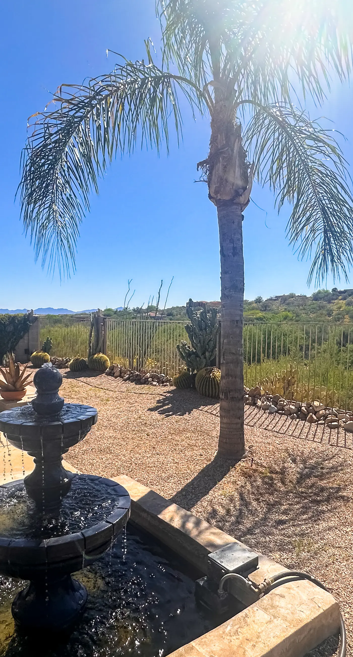 The CW Desert Oasis
