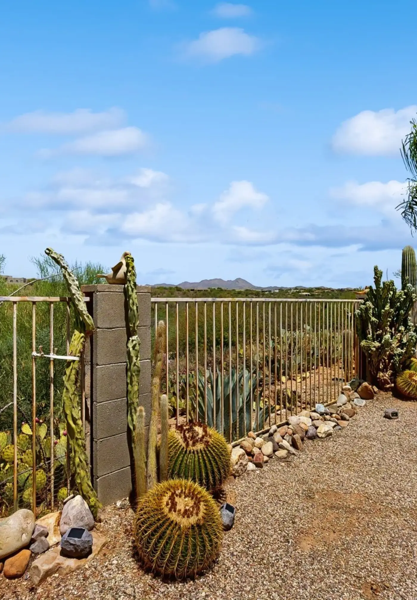 The CW Desert Oasis