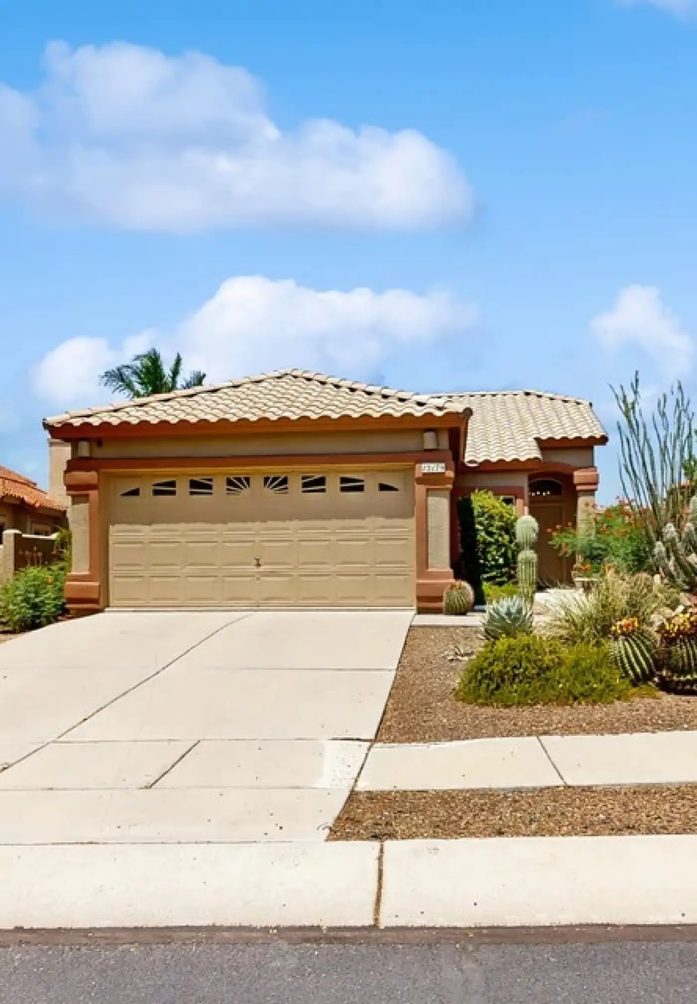The CW Desert Oasis