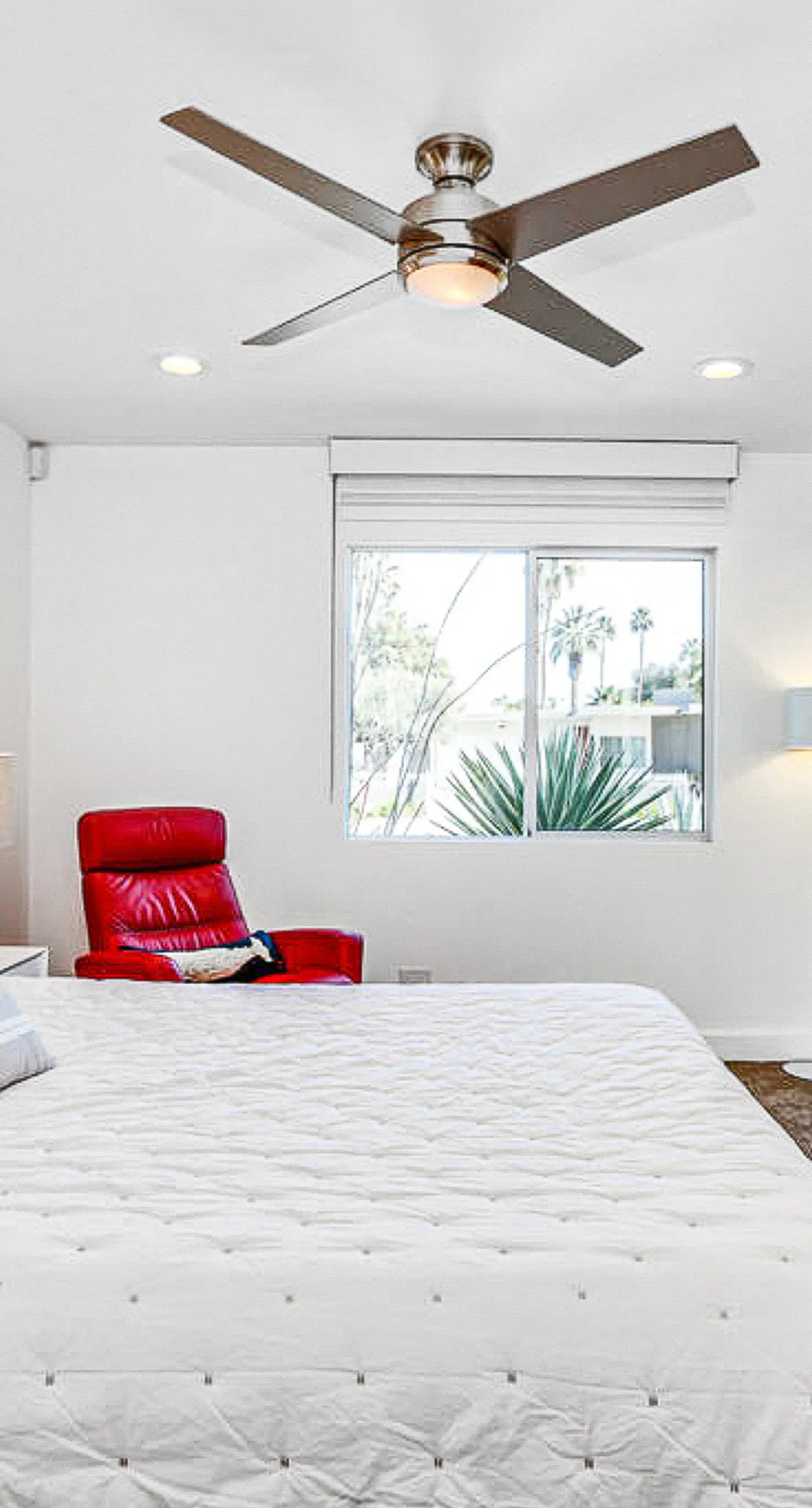 Palm Springs Timeless Beauty - 4240