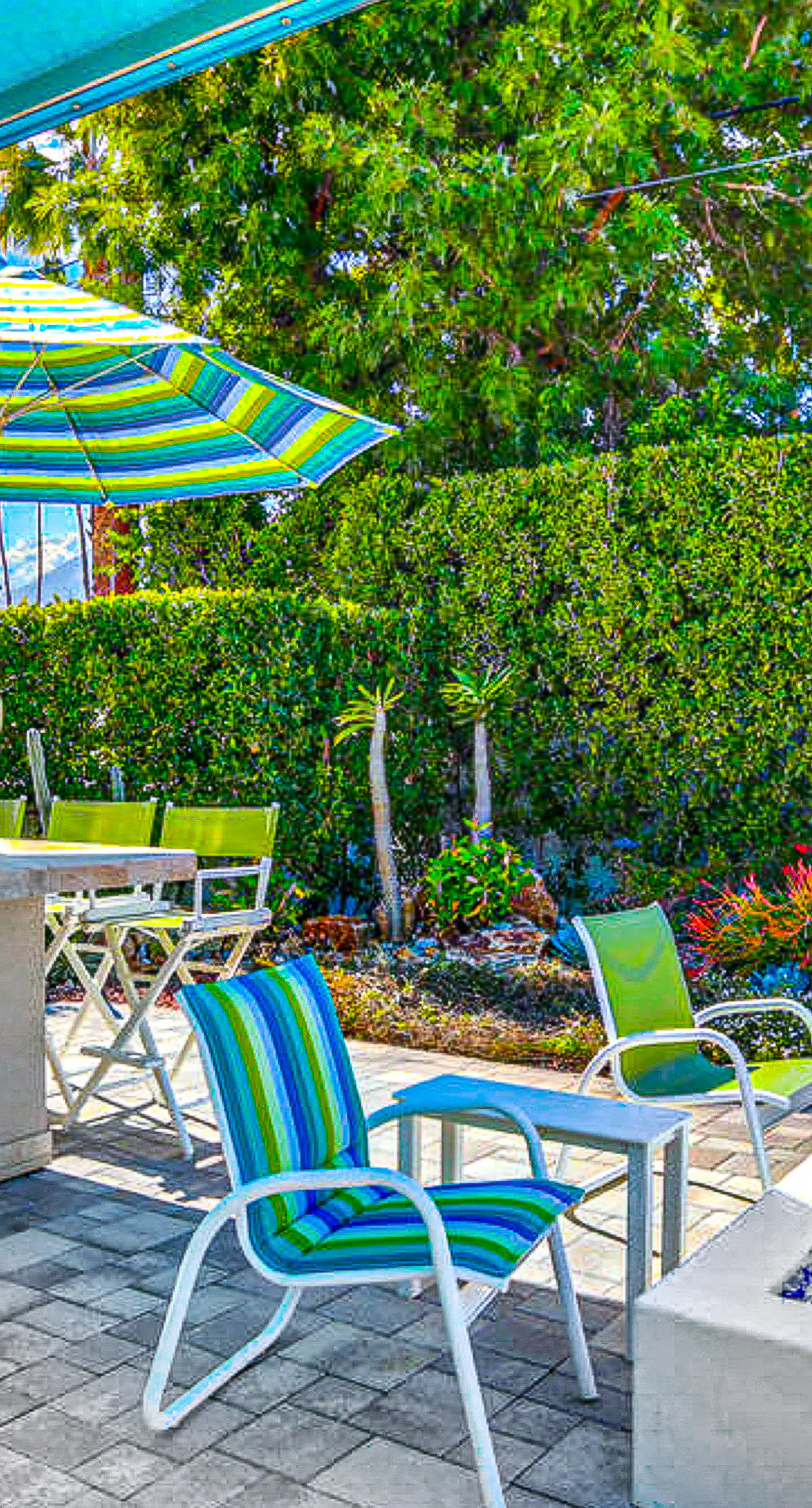 Palm Springs Timeless Beauty - 4240
