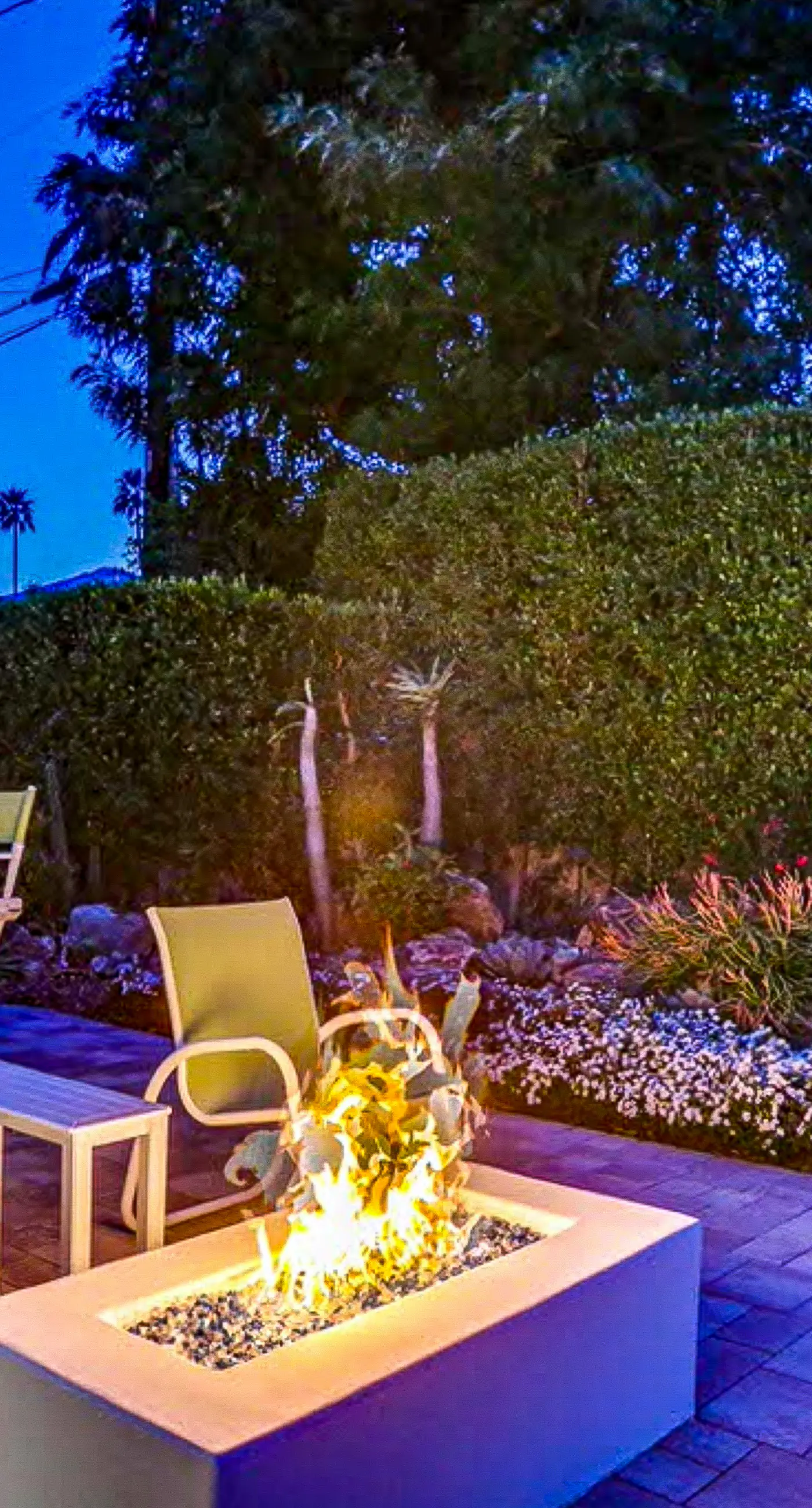 Palm Springs Timeless Beauty - 4240