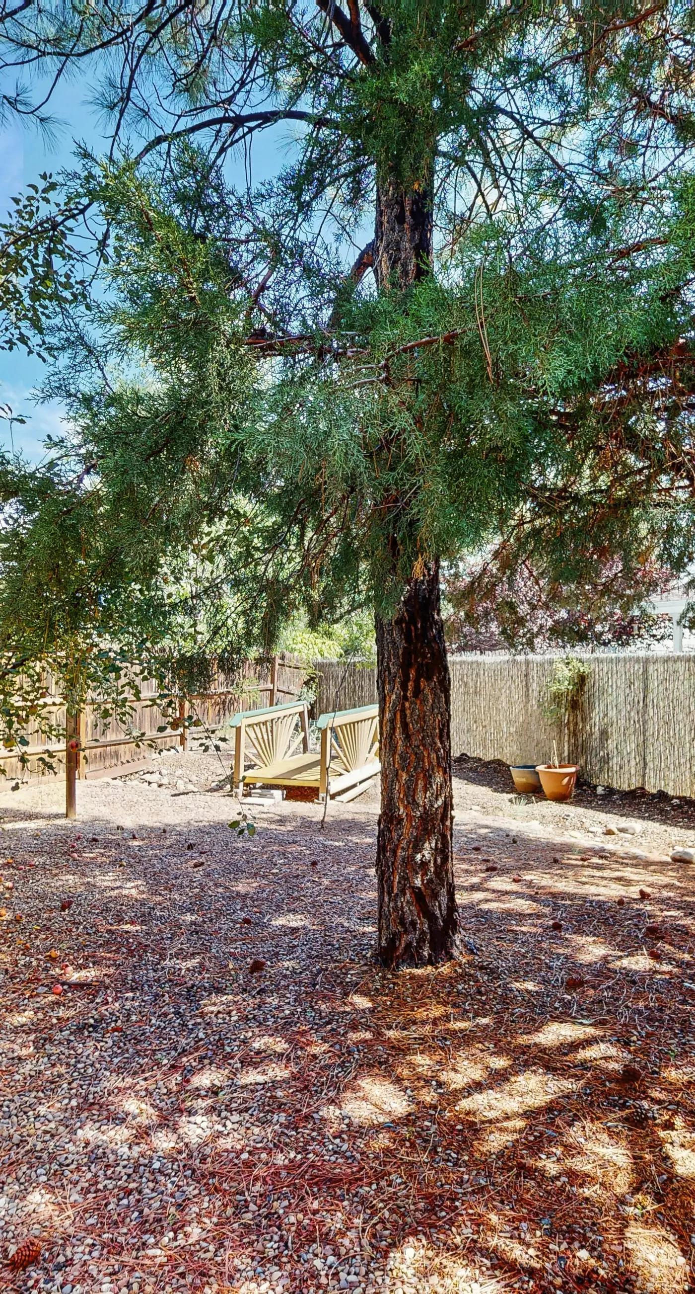 Wandering Pine Retreat