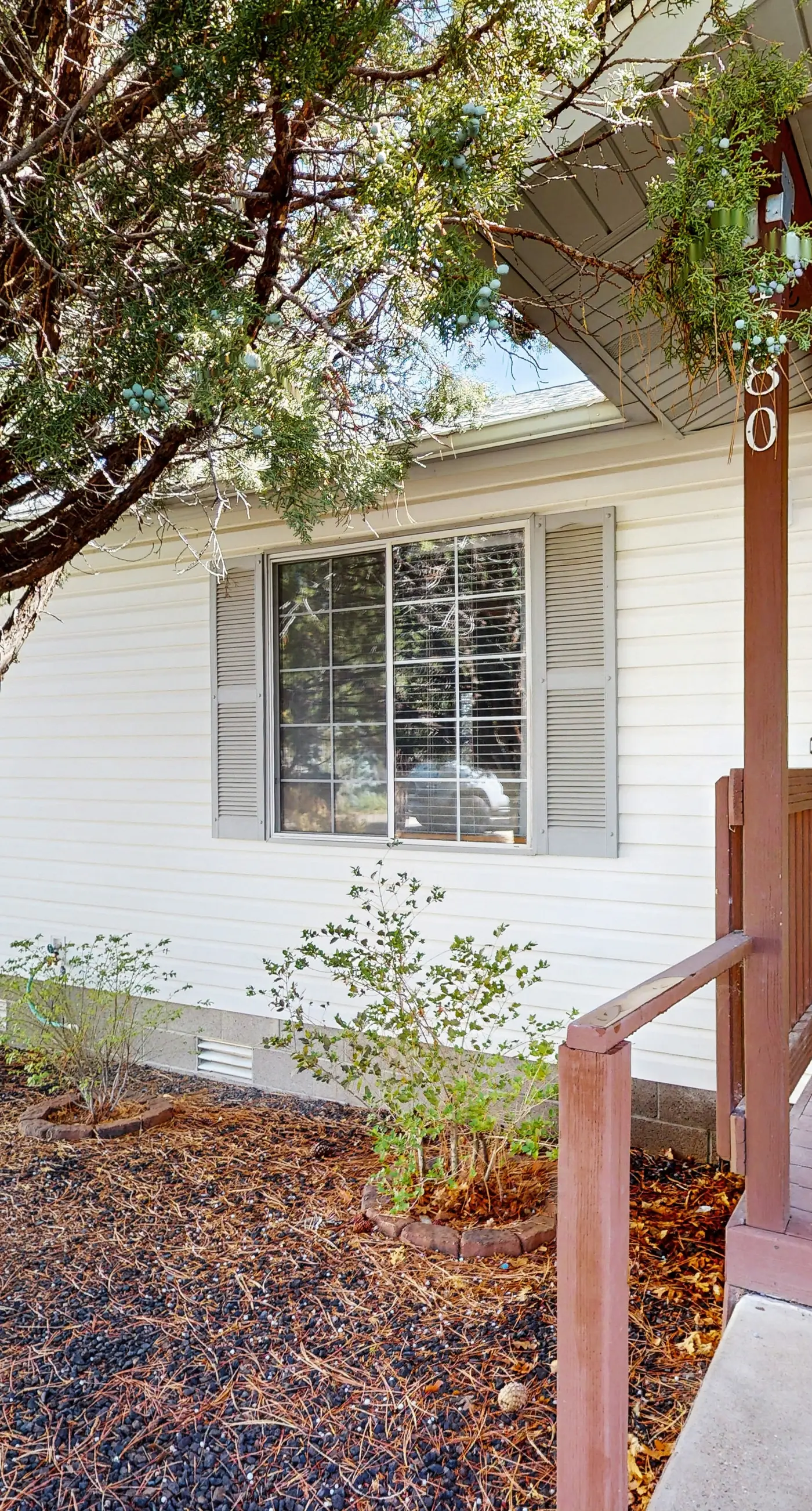 Wandering Pine Retreat