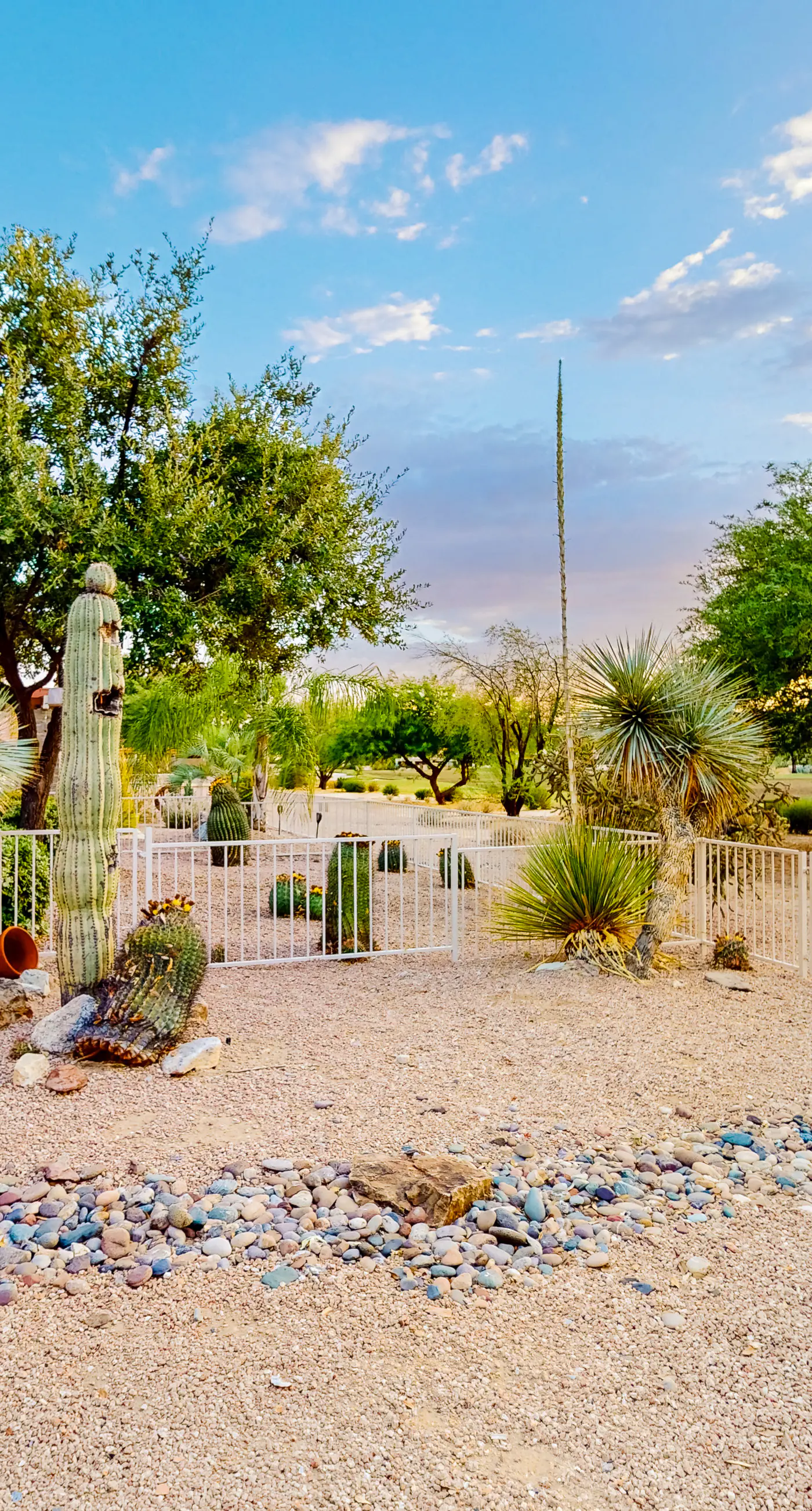 Tucson National #8689