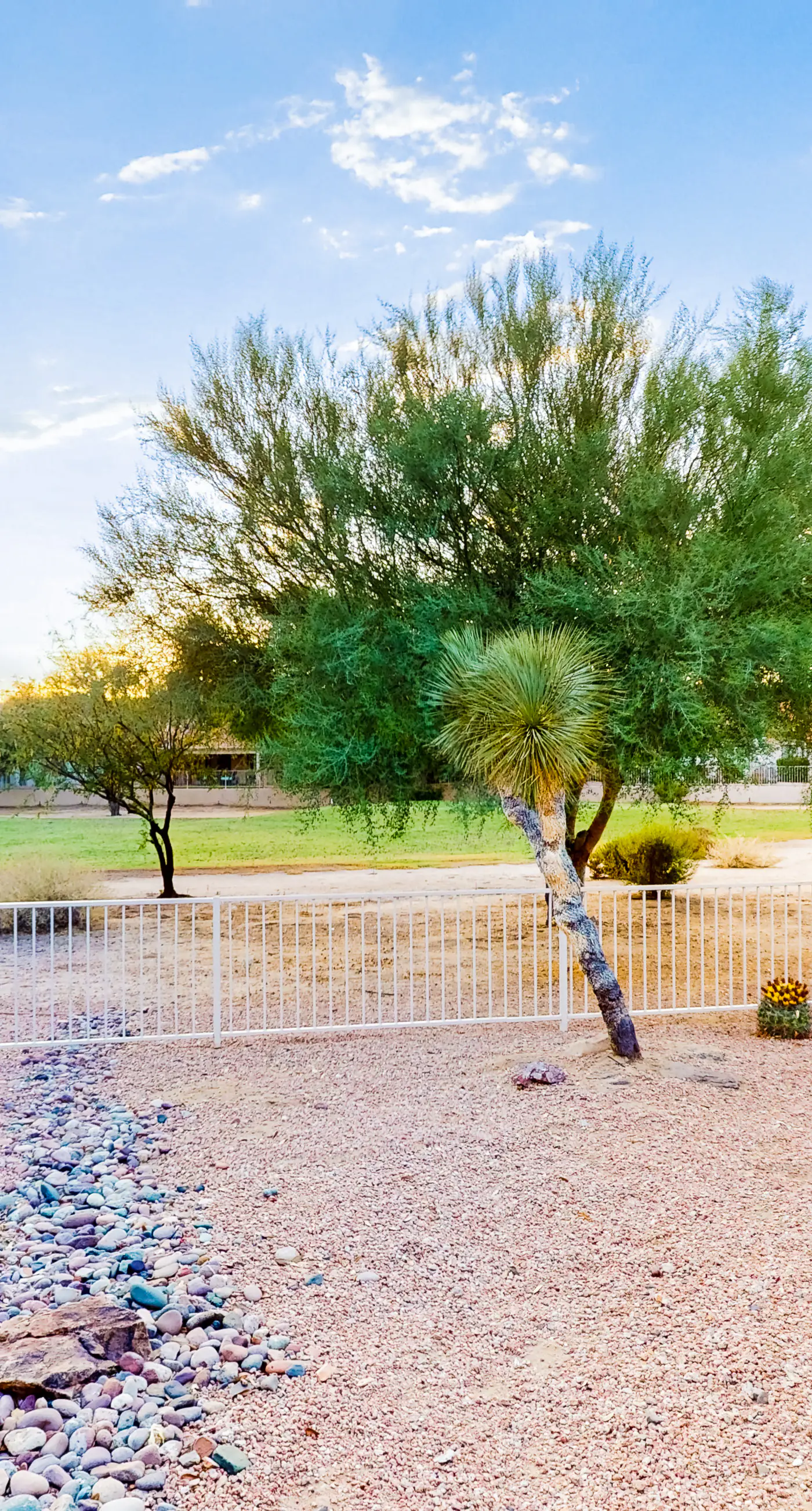 Tucson National #8689