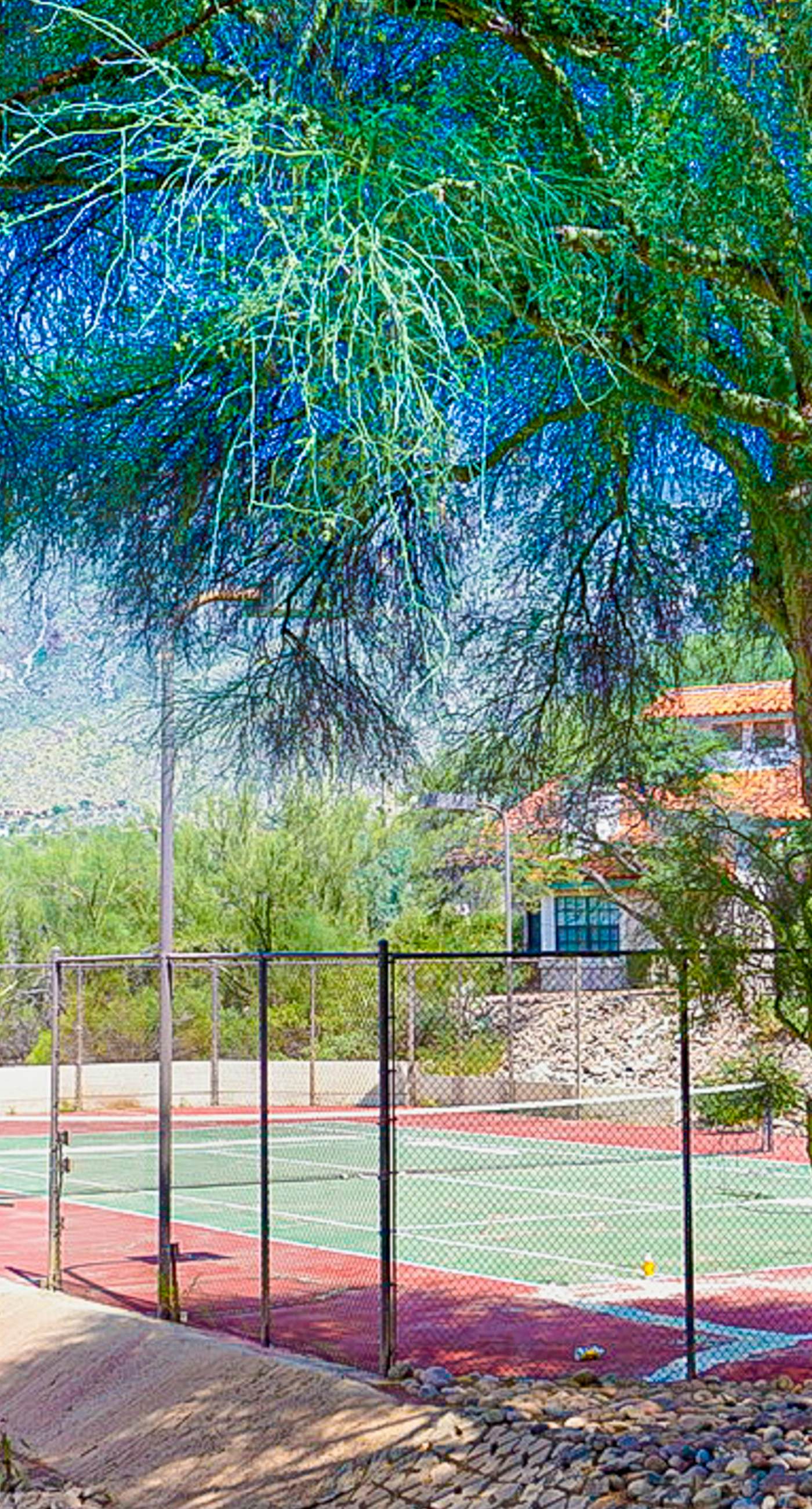 Tierra Catalina #104