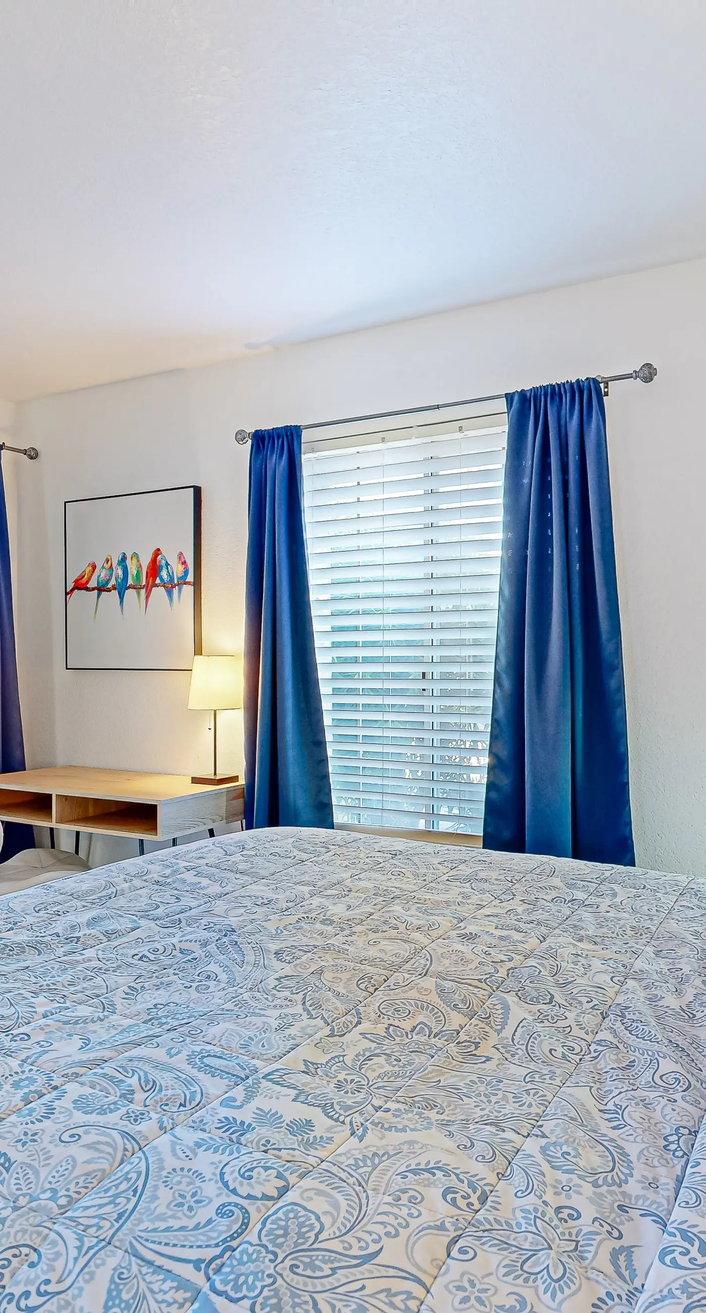 Camino Parocela L83 - 560