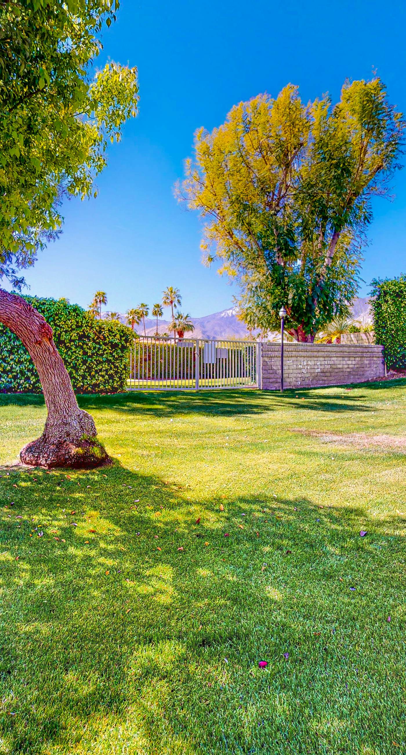 Mesquite Bungalow - 1784