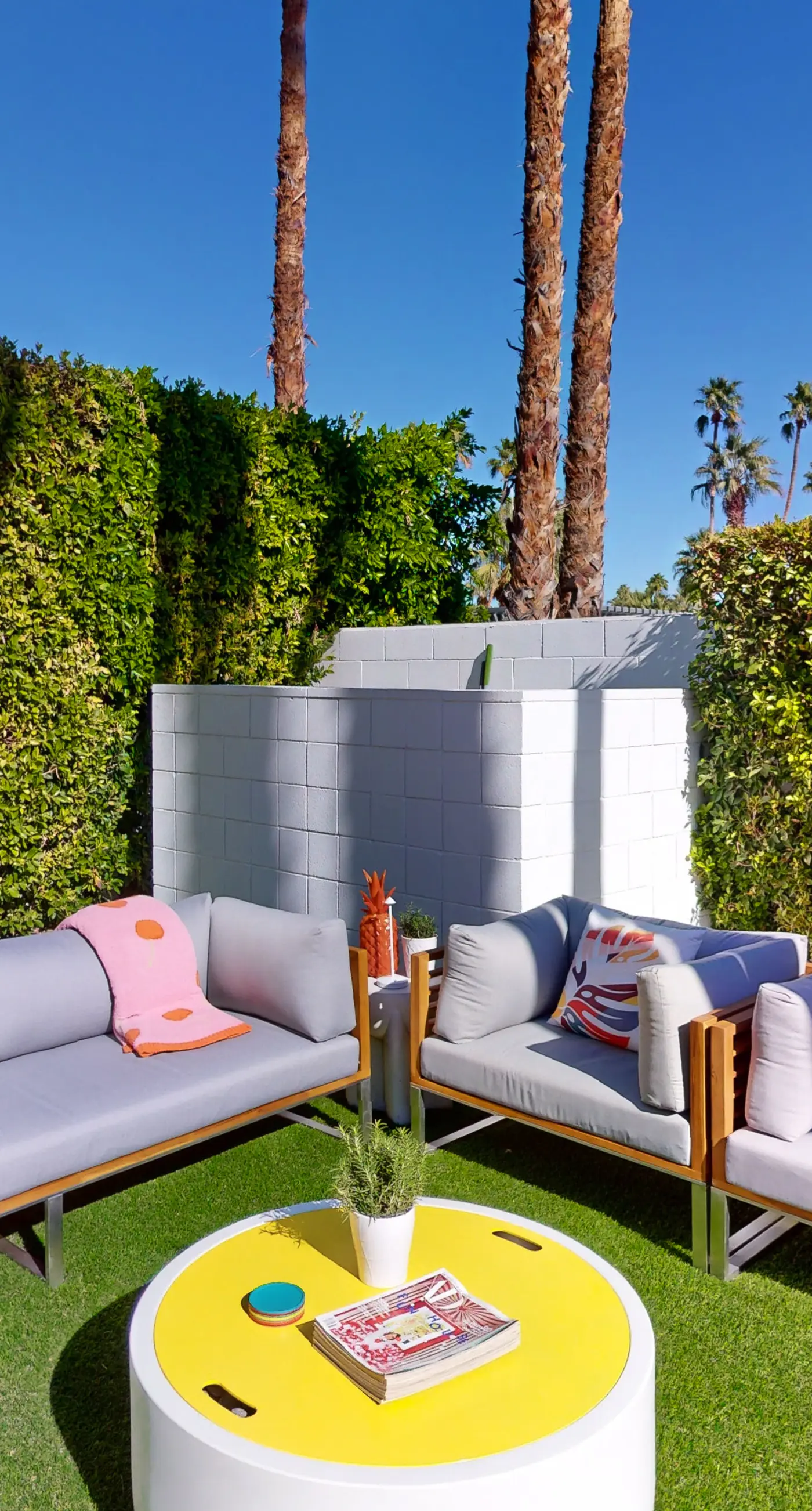 Mid-Century Alexander Stunner in Vista Las Palmas - 3800