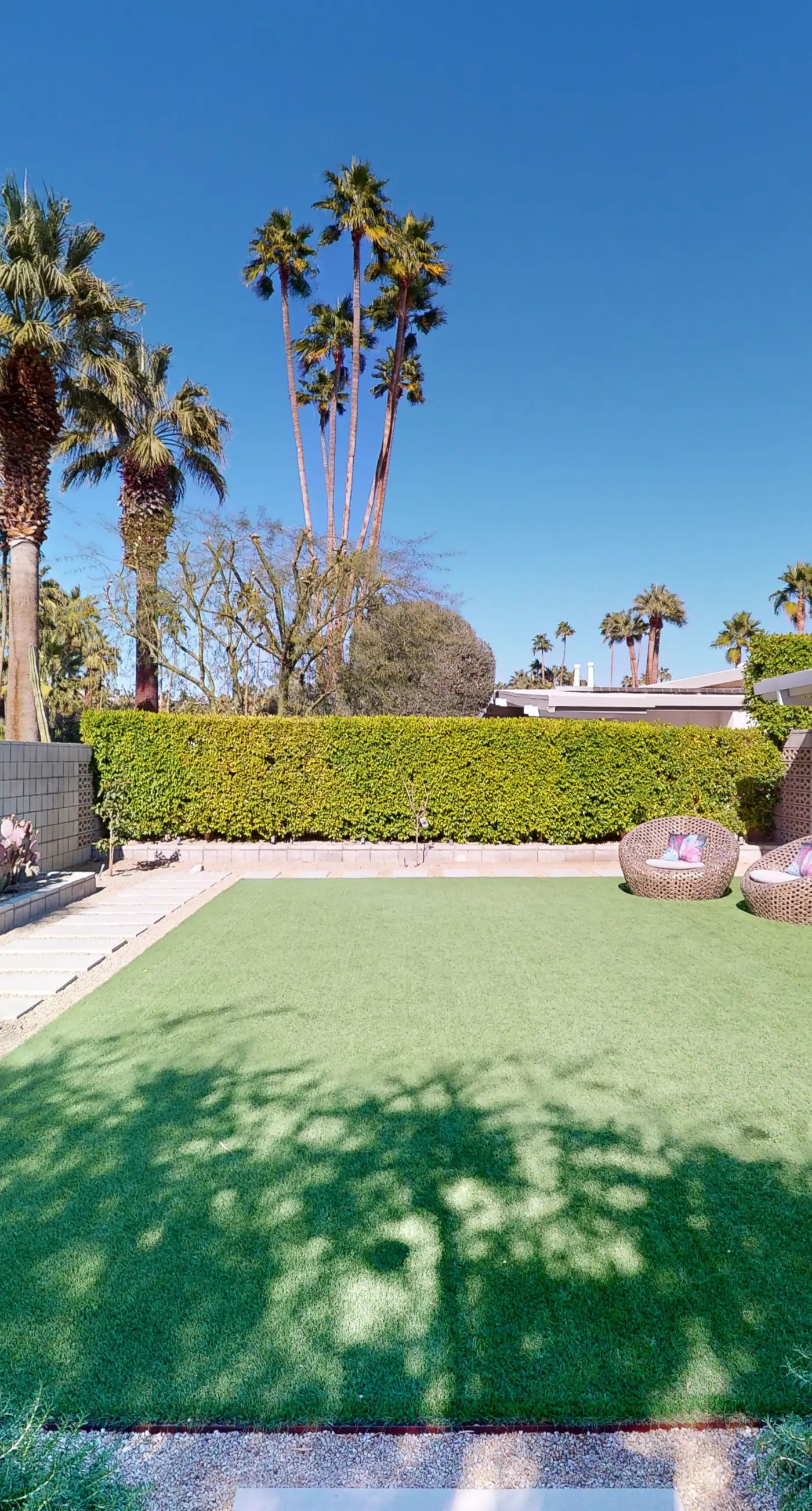Mid-Century Alexander Stunner in Vista Las Palmas - 3800