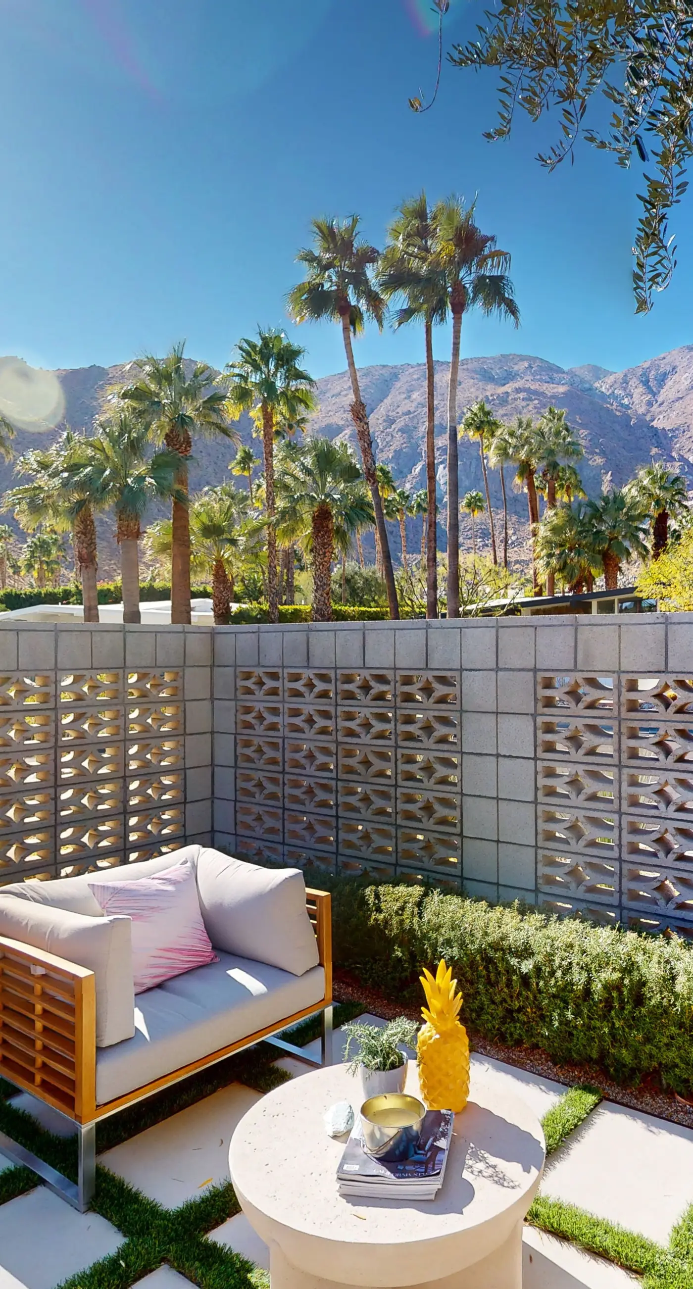 Mid-Century Alexander Stunner in Vista Las Palmas - 3800