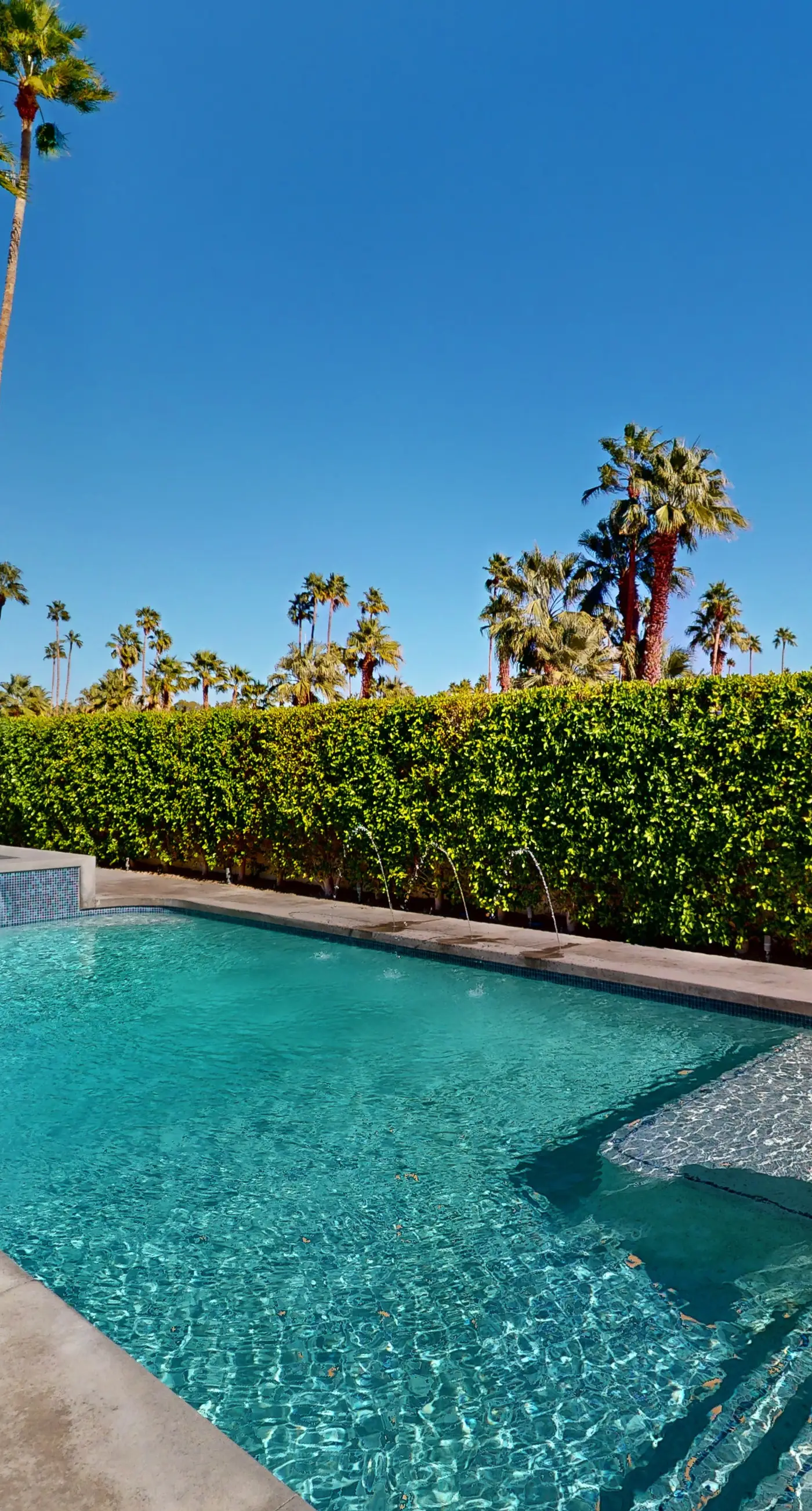 Mid-Century Alexander Stunner in Vista Las Palmas - 3800