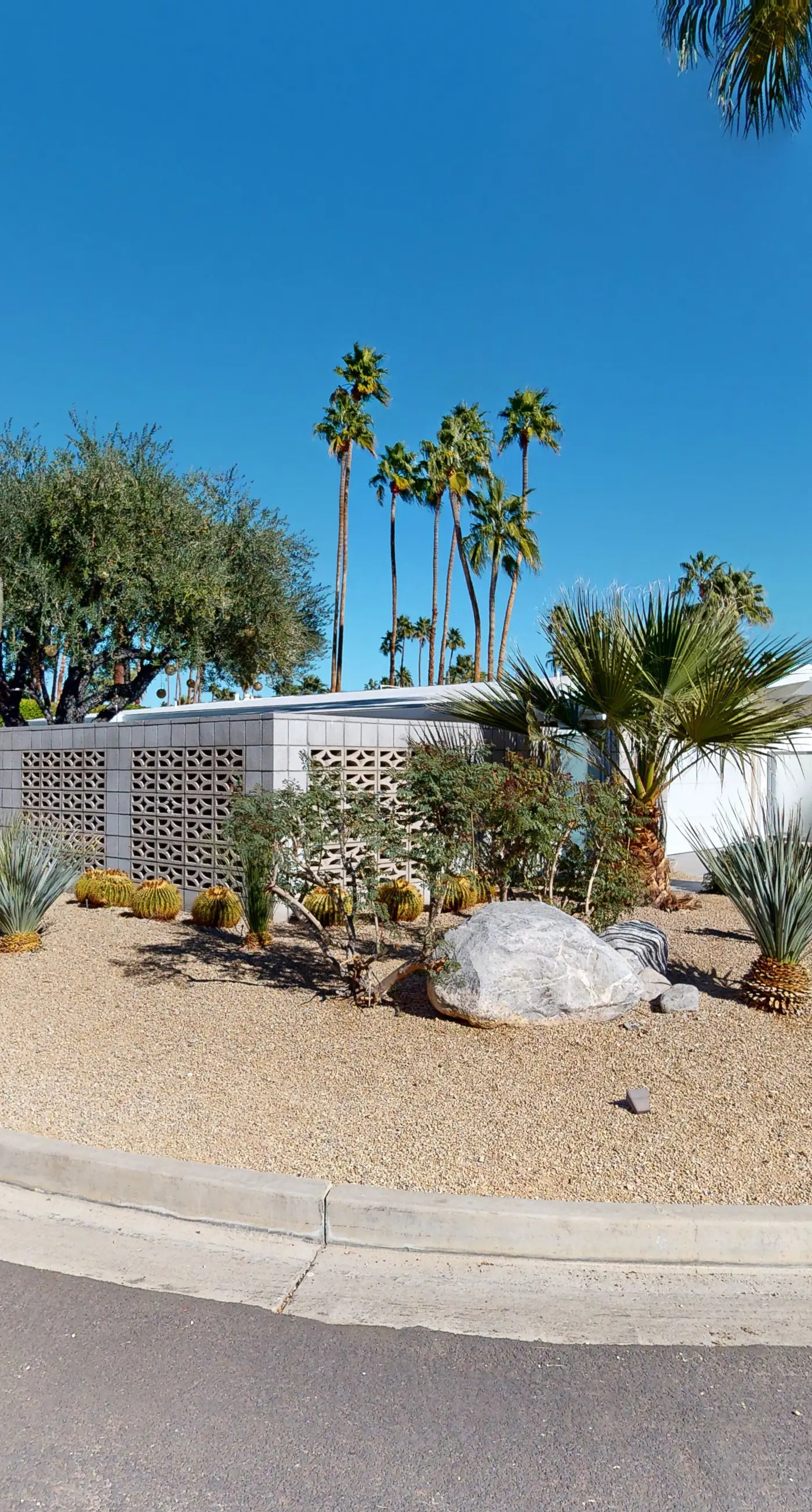 Mid-Century Alexander Stunner in Vista Las Palmas - 3800
