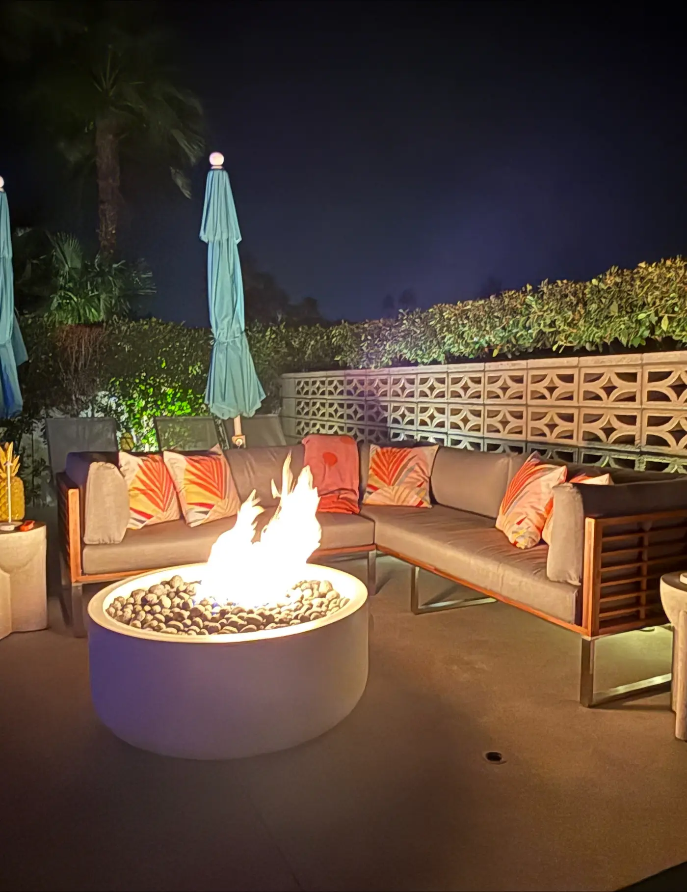 Mid-Century Alexander Stunner in Vista Las Palmas - 3800