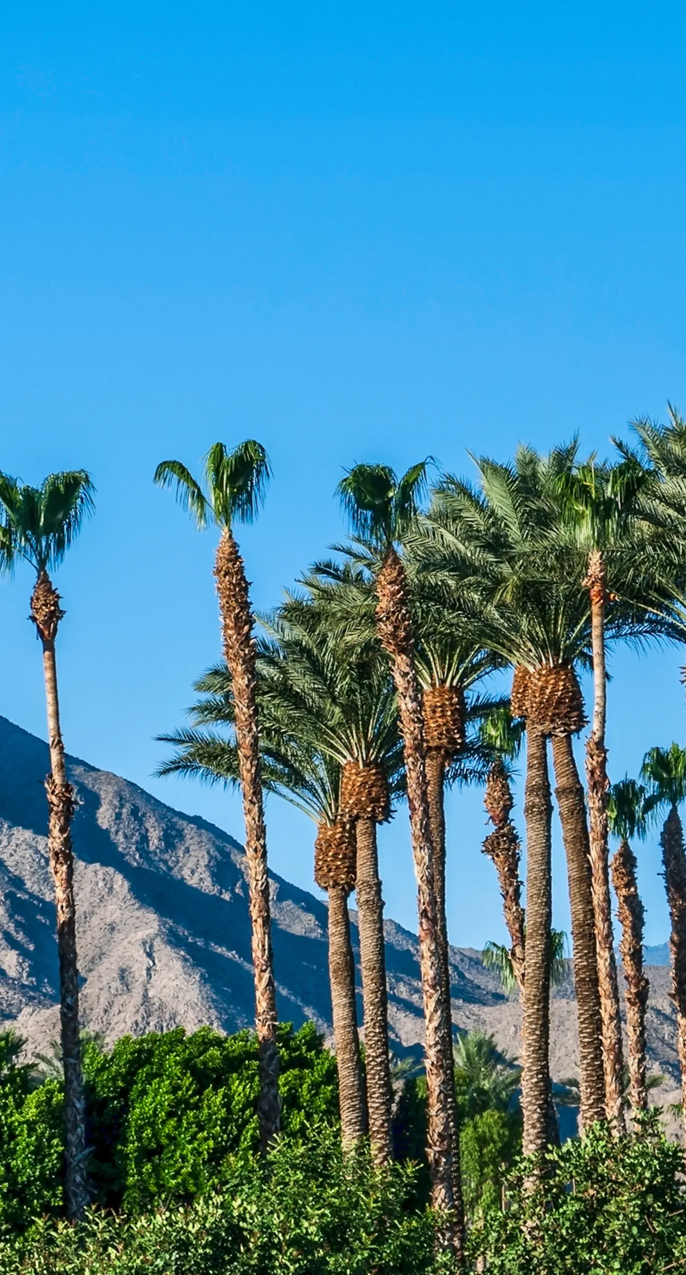 Desert Living Refuge