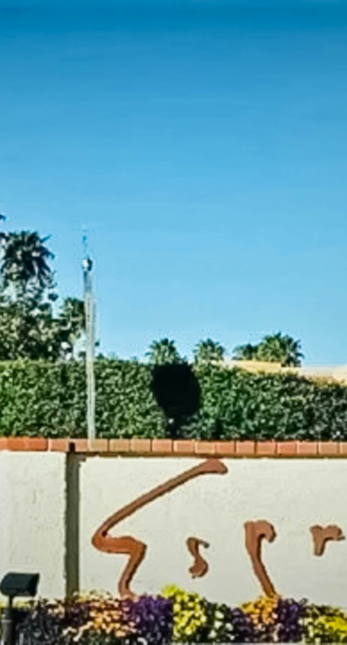 TheBrio Palm Springs