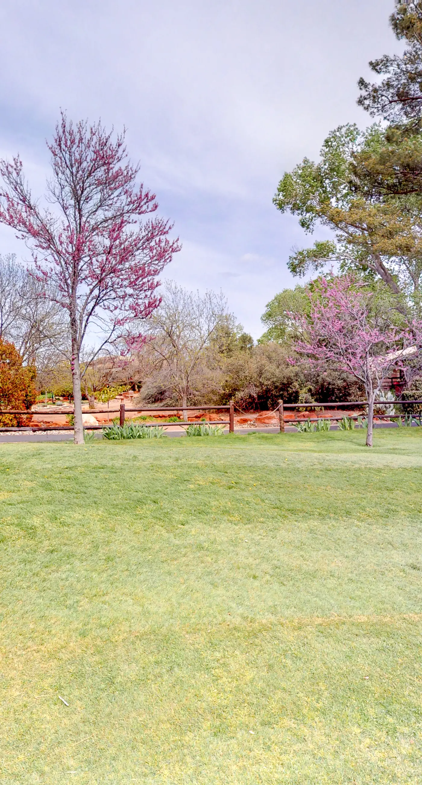 Canyon Lookout