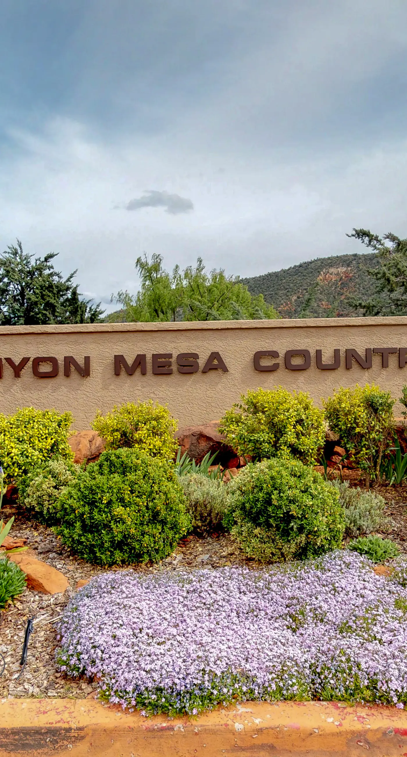 Canyon Lookout