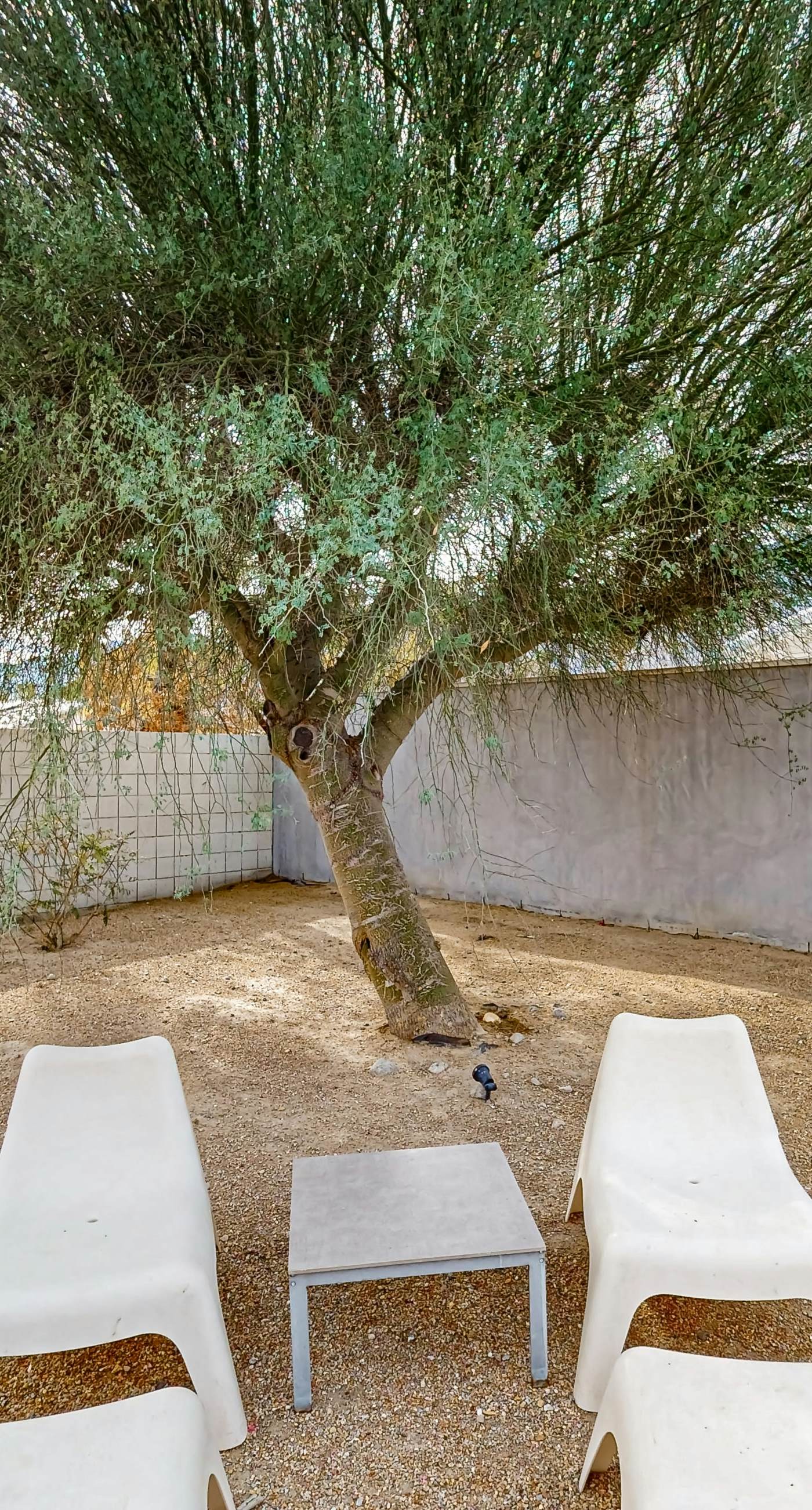 Nicola Modern - 68794