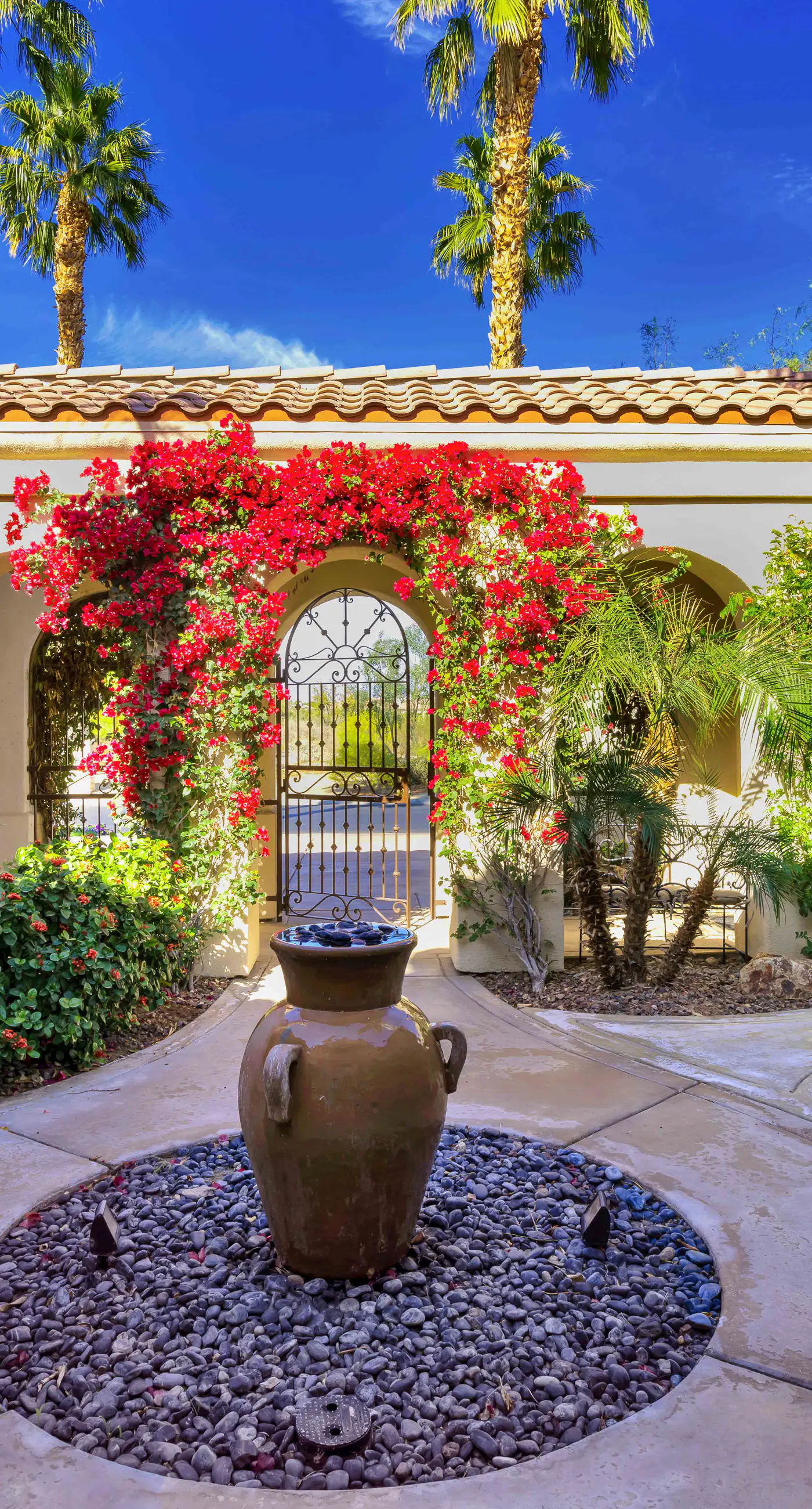 Luxury Desert Oasis