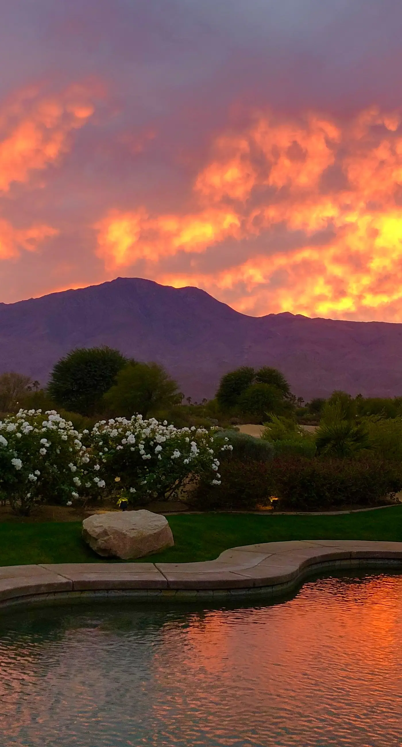 Luxury Desert Oasis