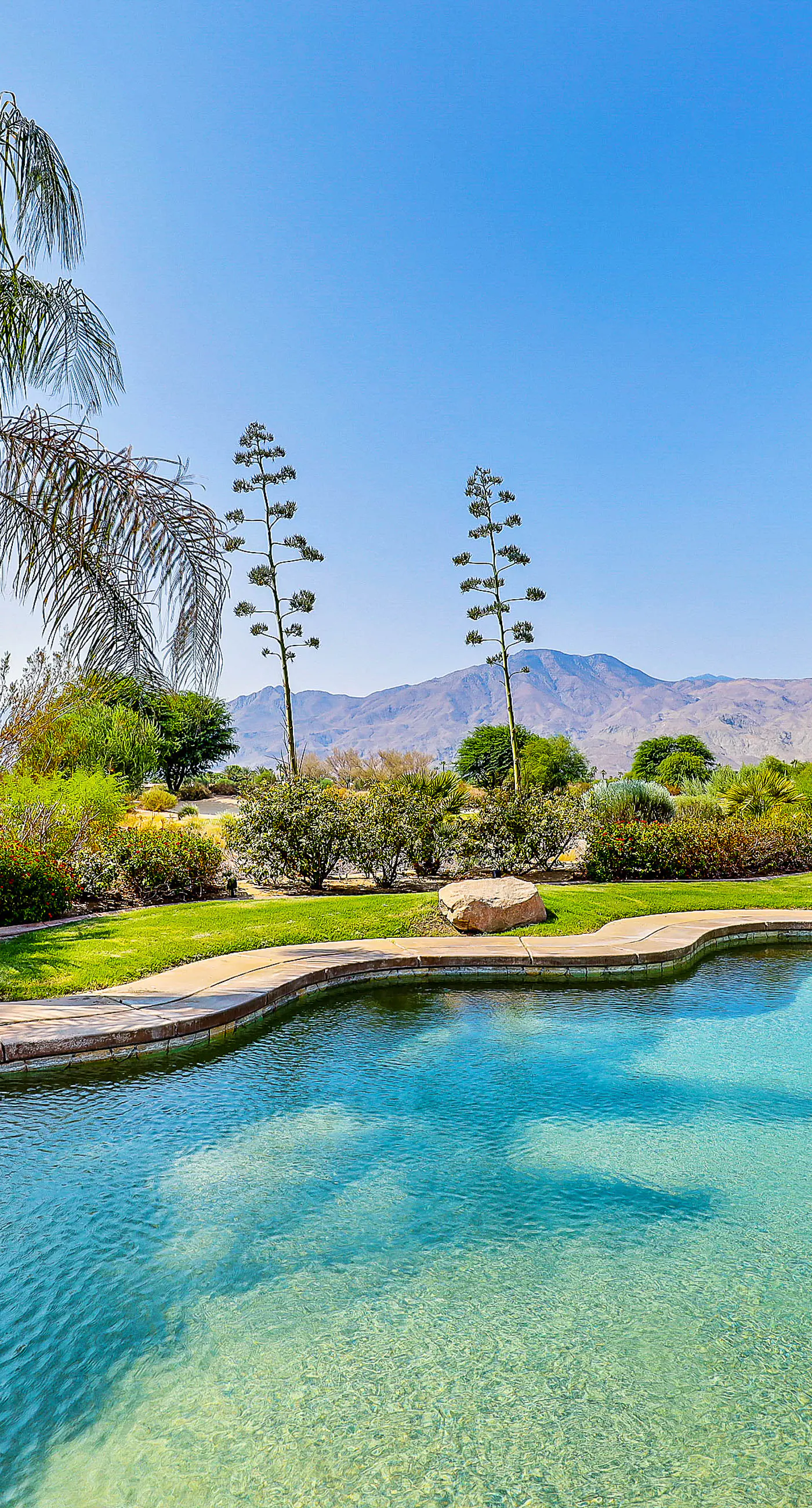 Luxury Desert Oasis