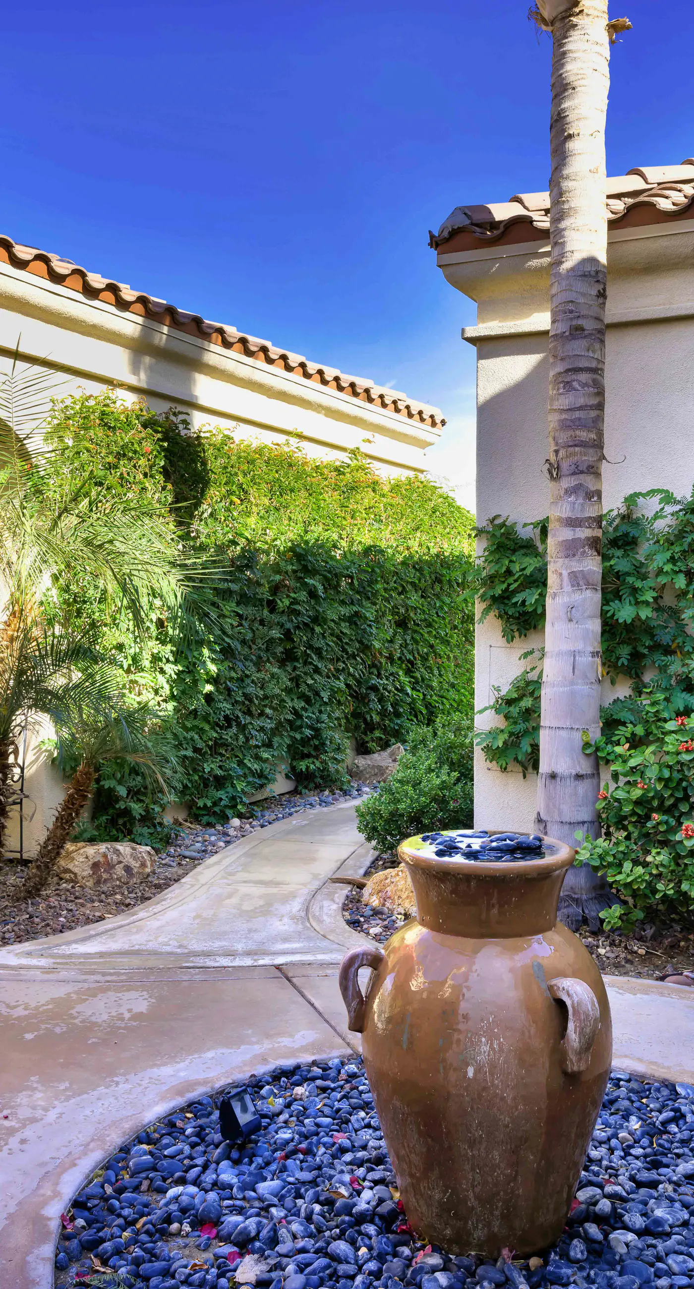 Luxury Desert Oasis