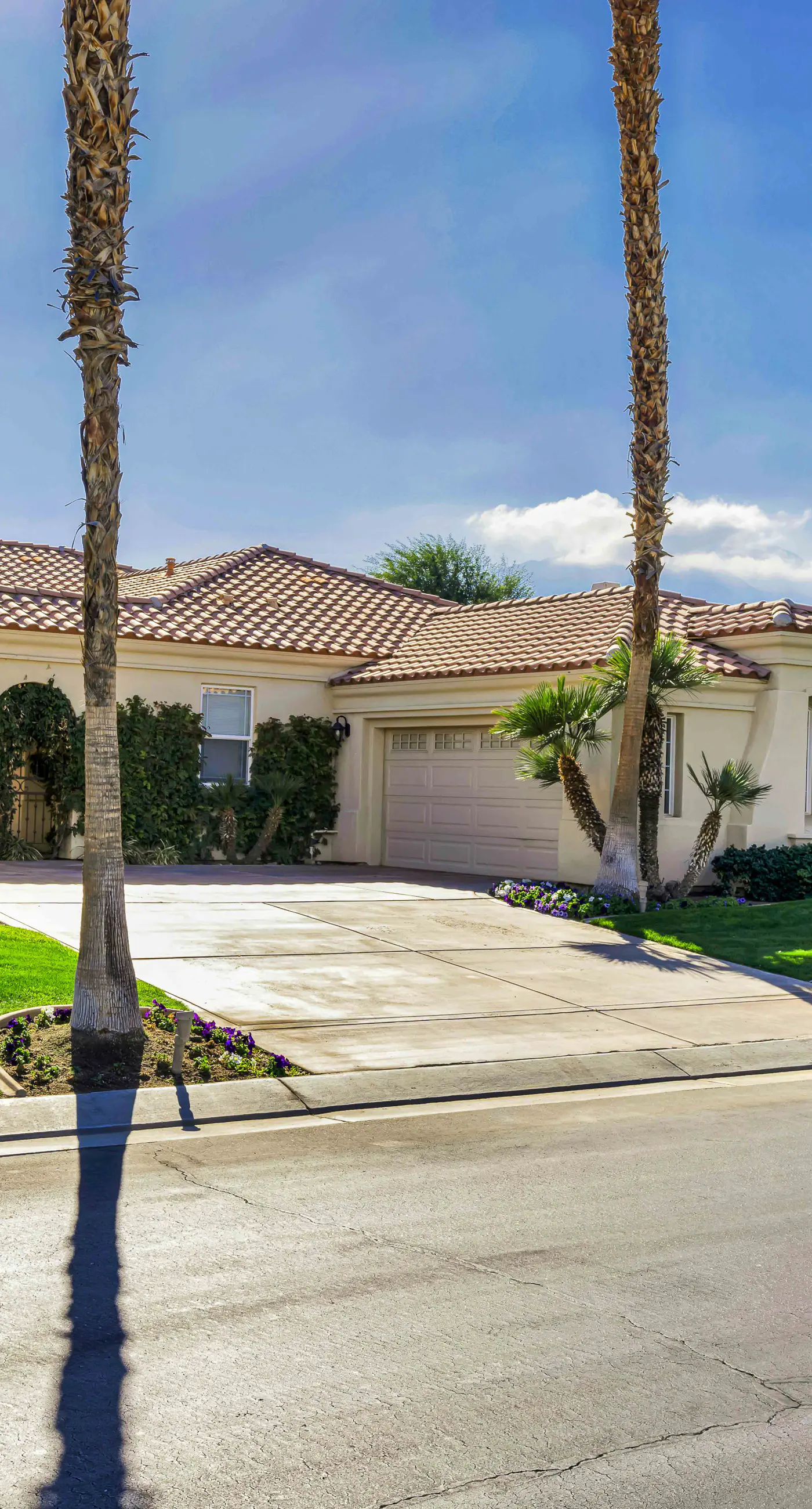 Luxury Desert Oasis