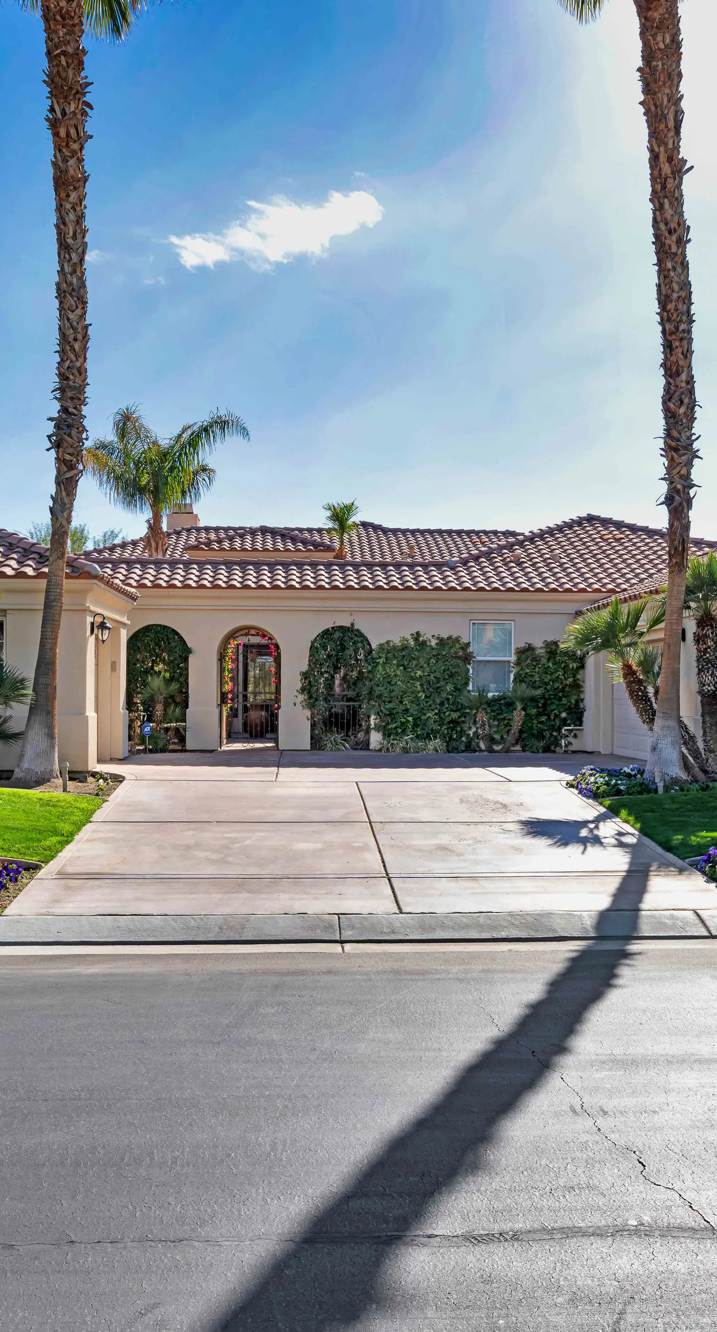 Luxury Desert Oasis