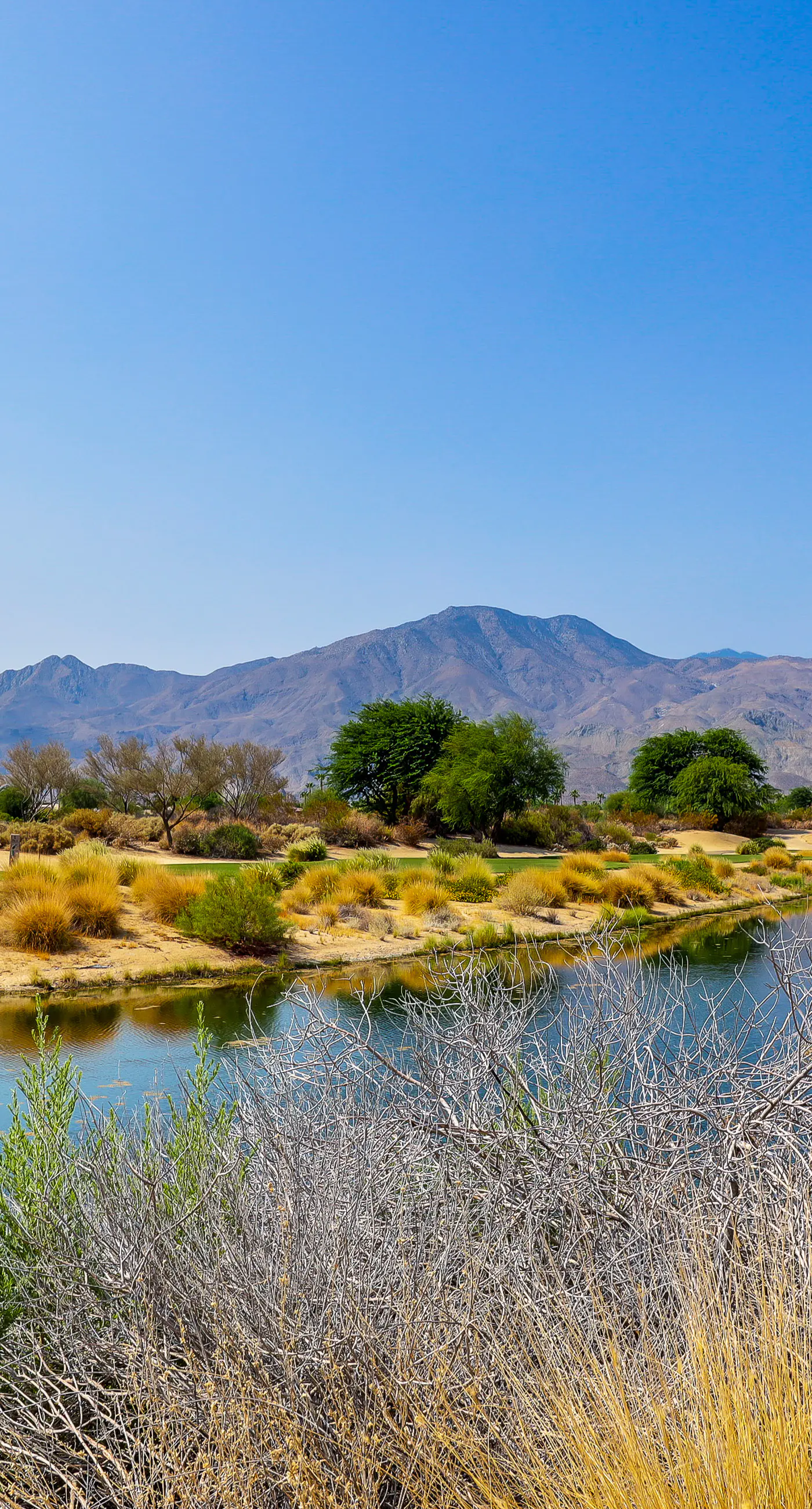 Luxury Desert Oasis