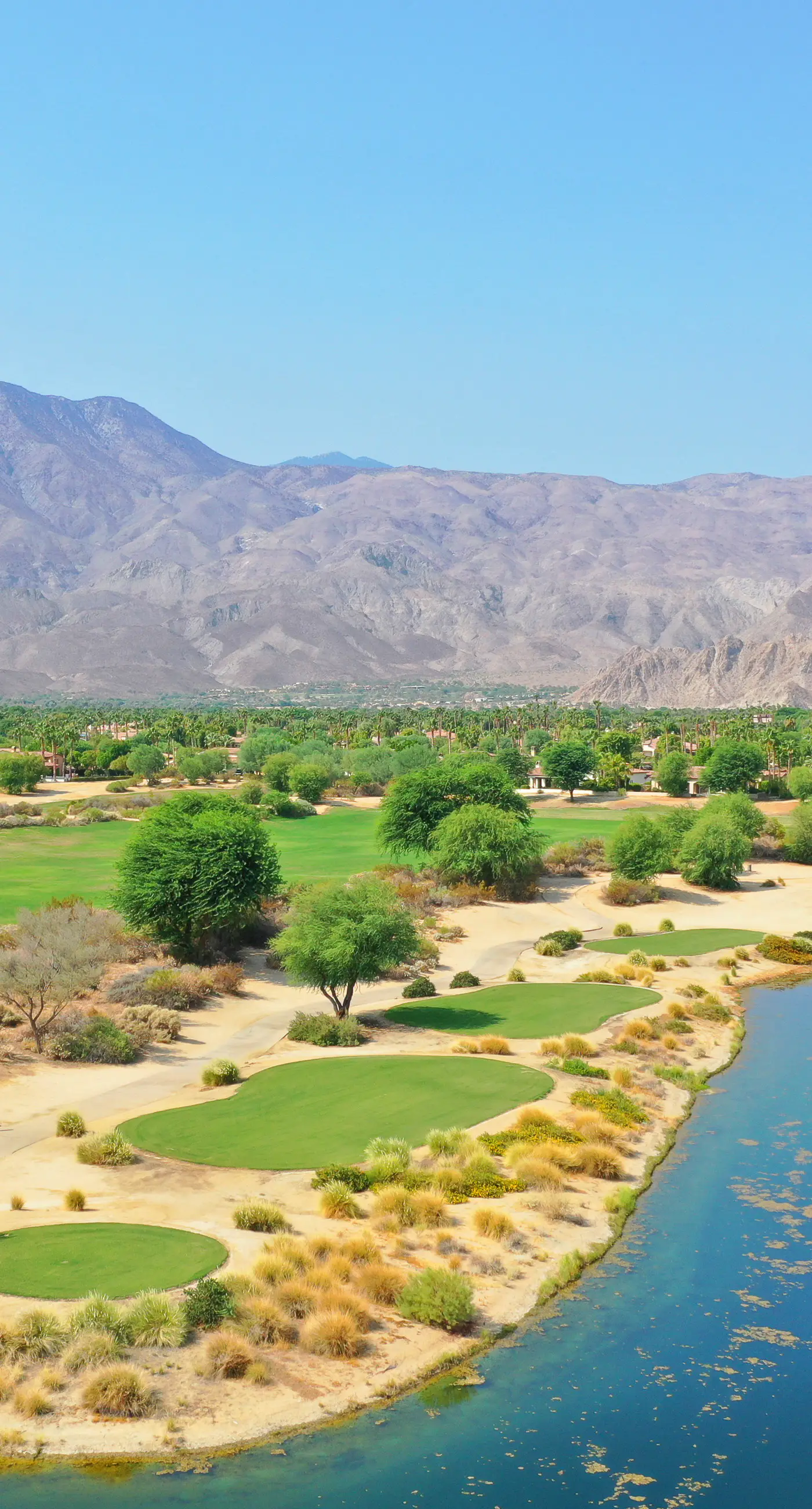 Luxury Desert Oasis