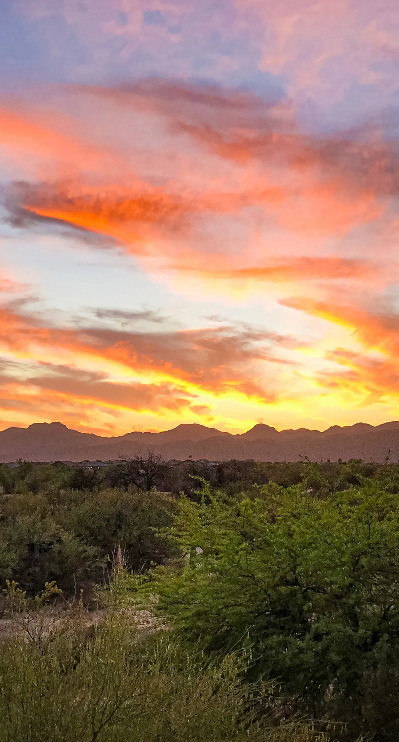 Vistoso Resort Casita #127