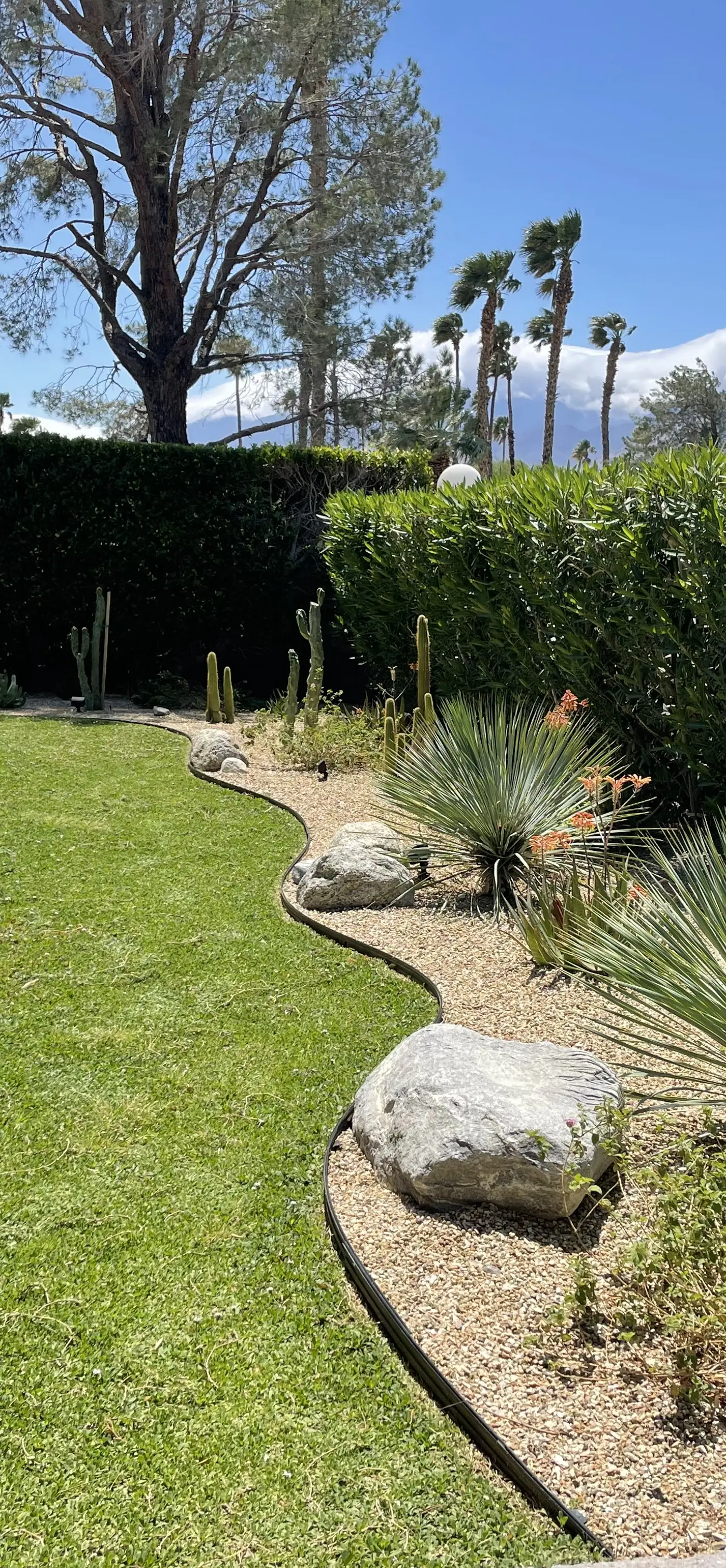 Cactus Path