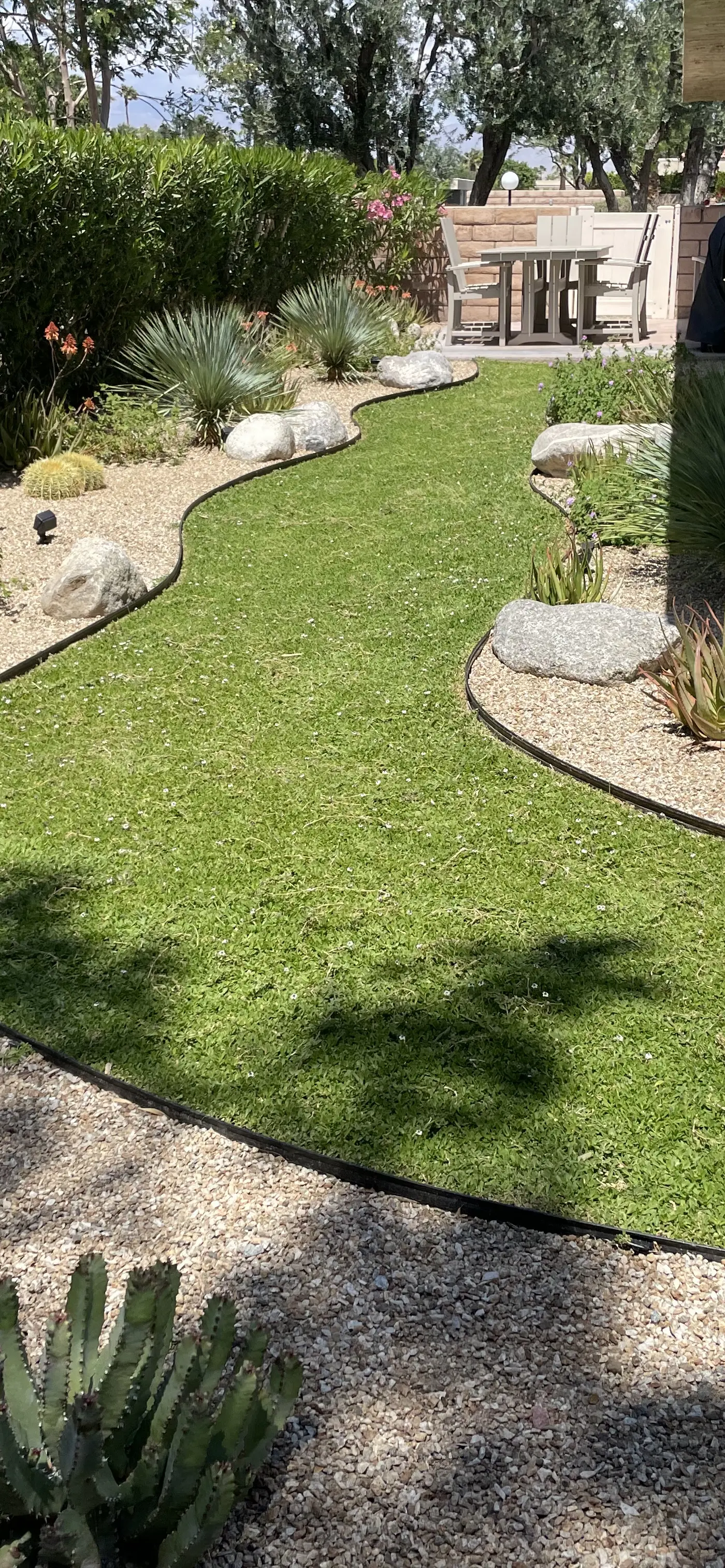 Cactus Path