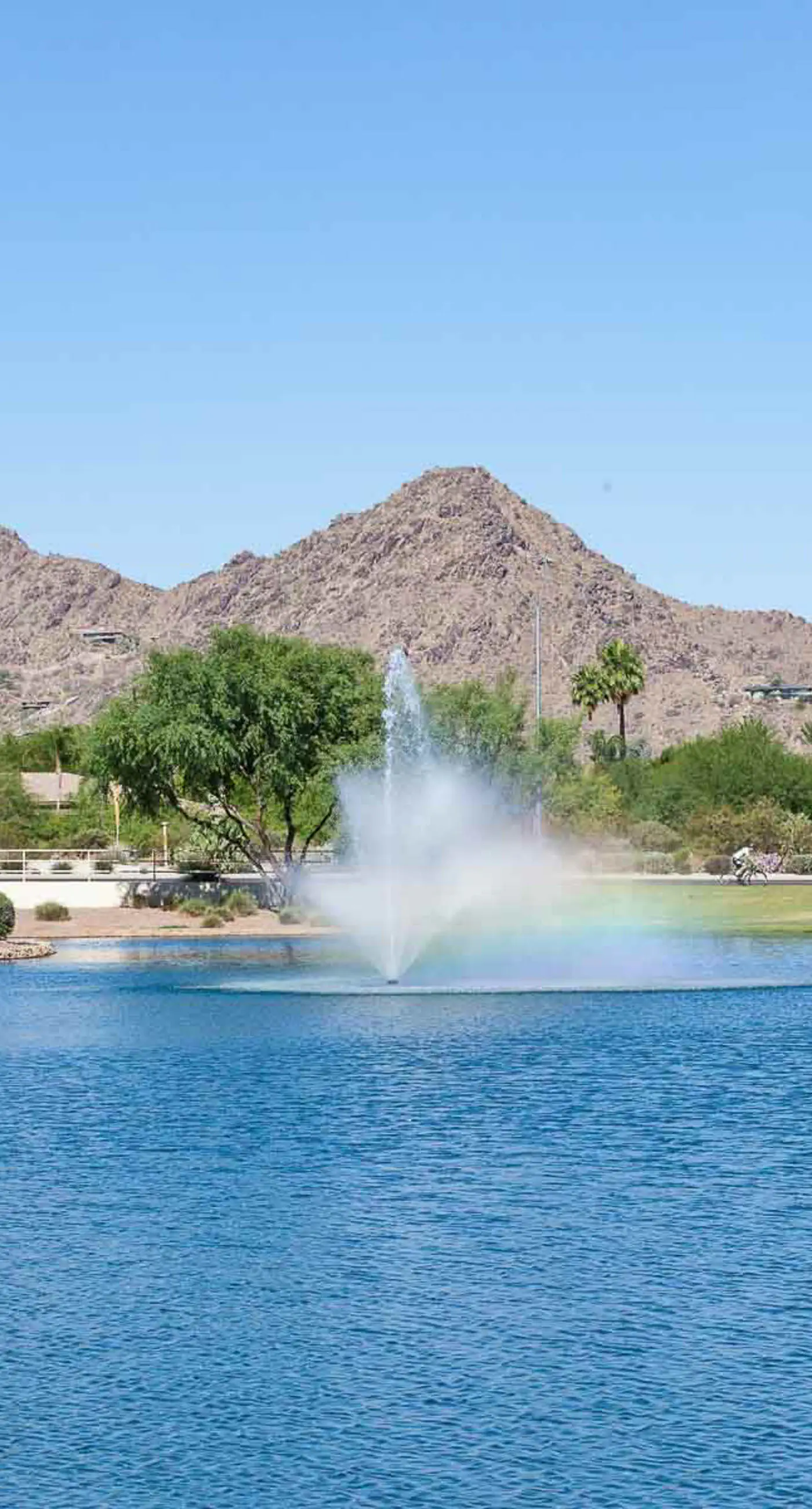Desert Foothills